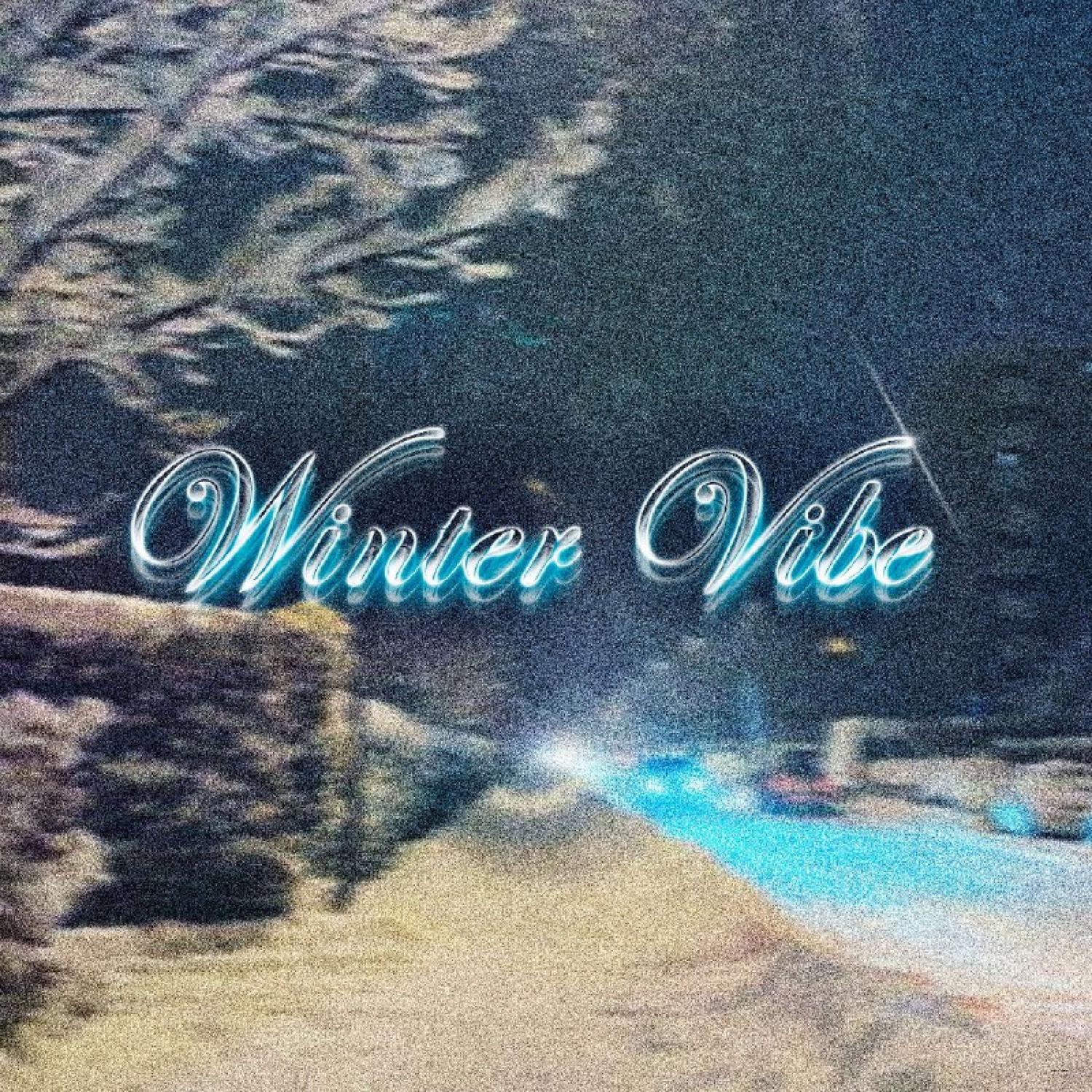 Постер альбома WINTER VIBE