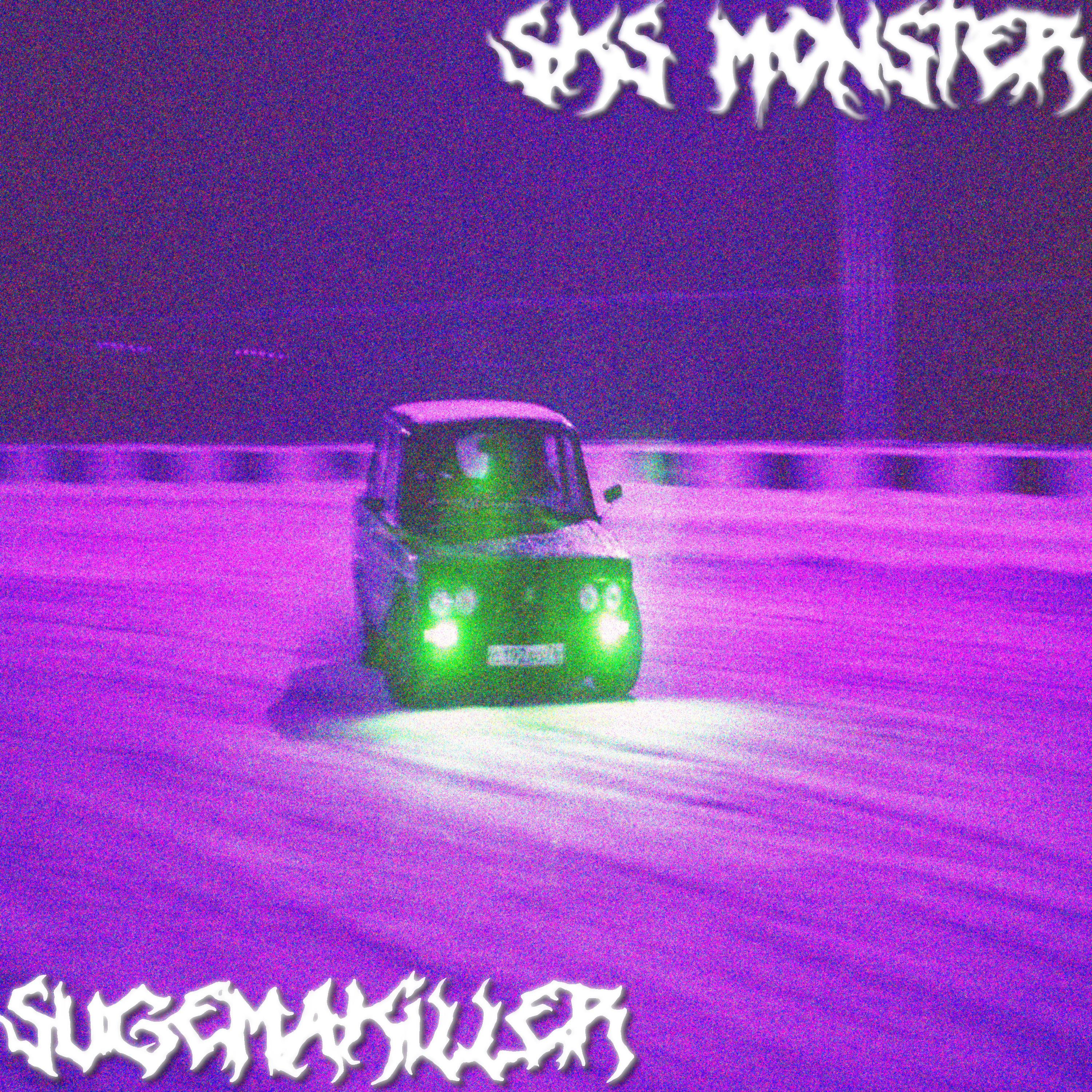 Постер альбома sks monster