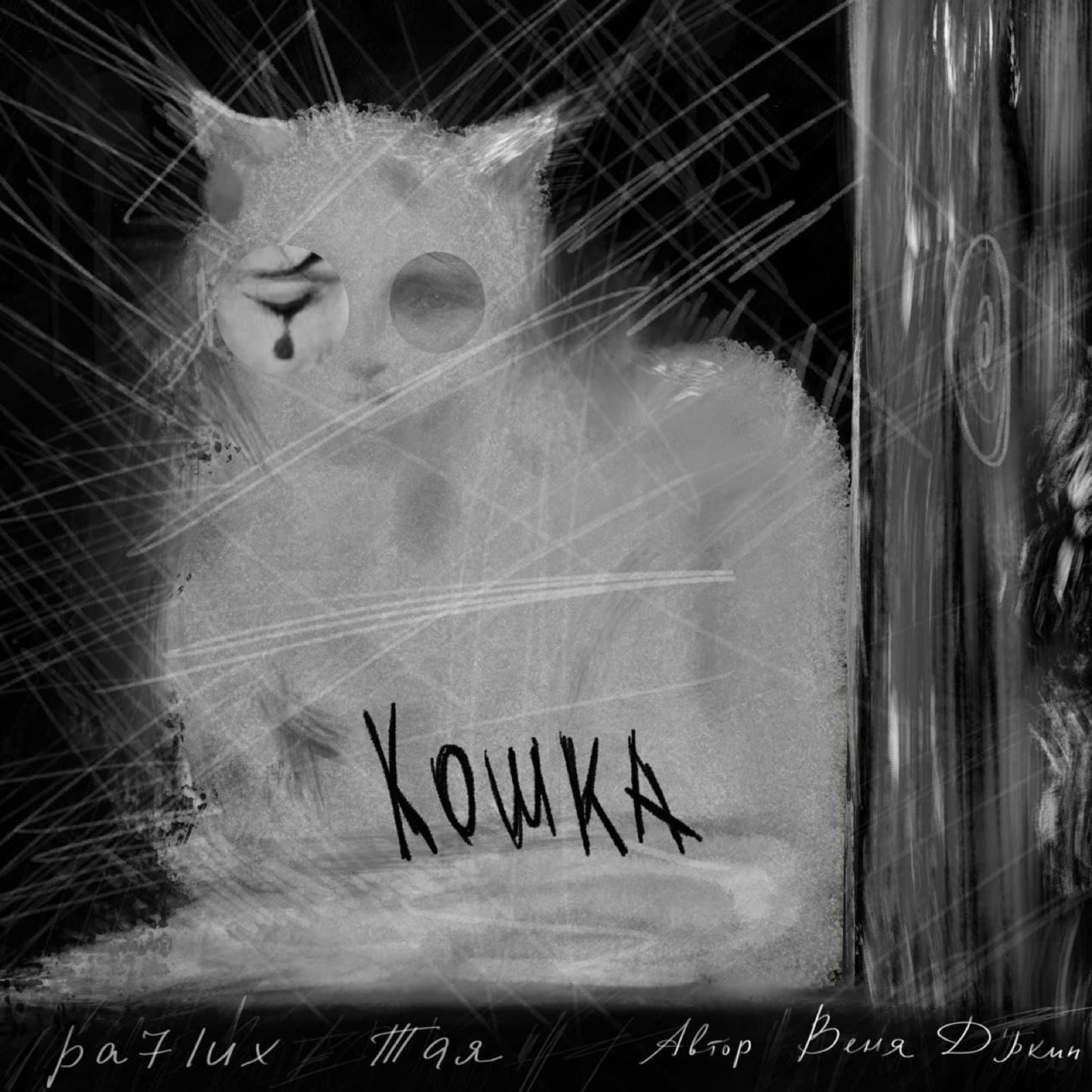 Постер альбома Кошка (Aвтор Веня Дркин)