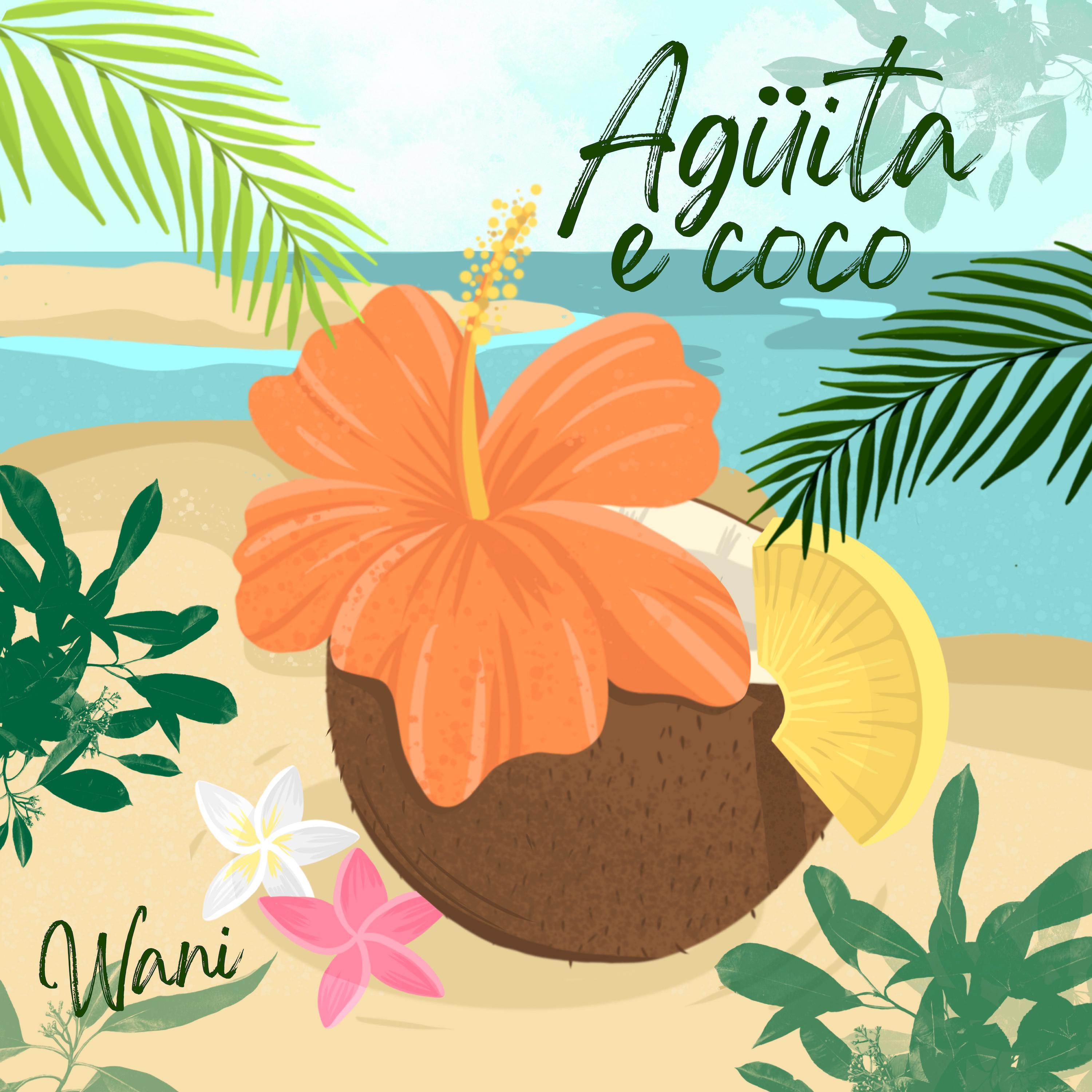 Постер альбома Agüita e Coco