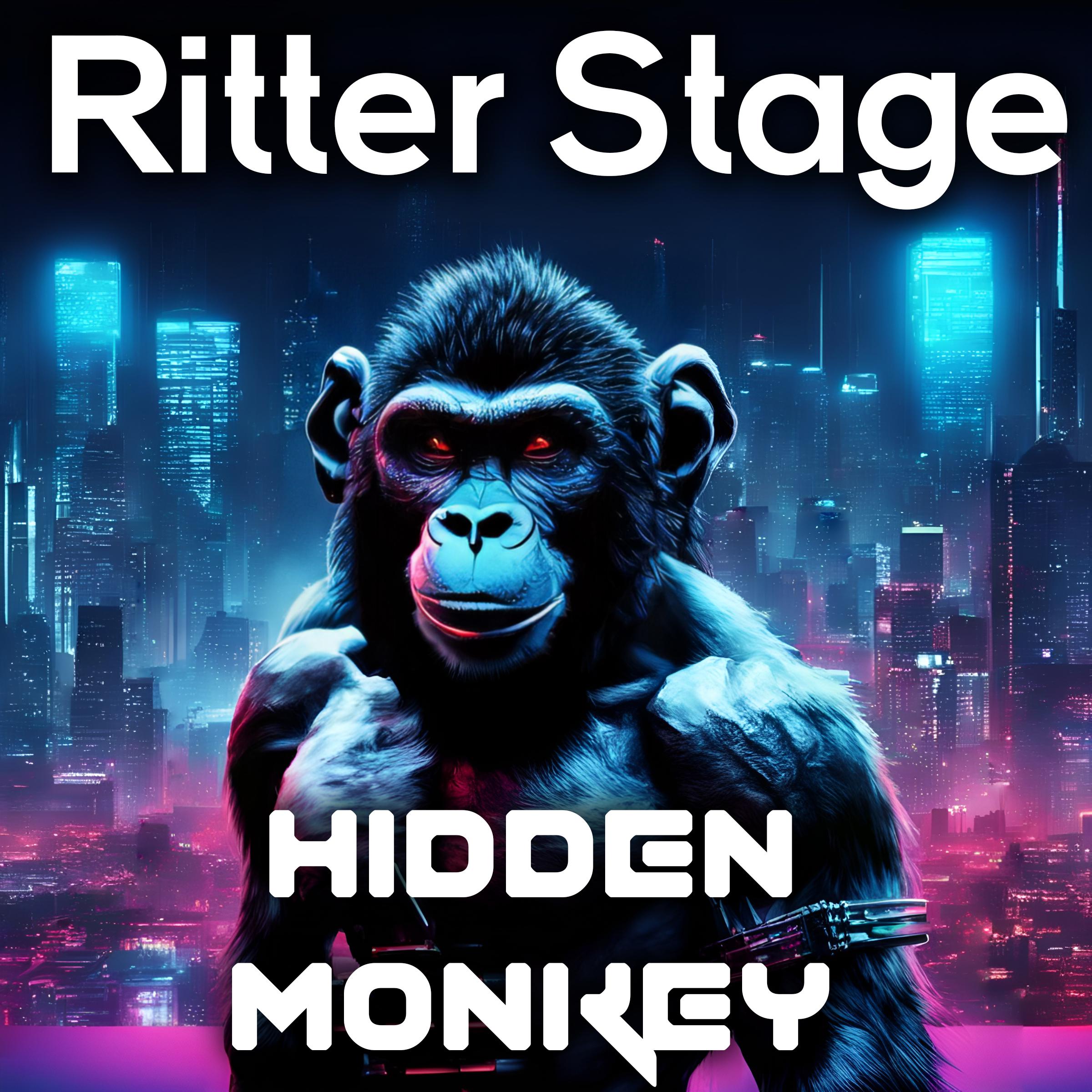 Постер альбома Hidden Monkey