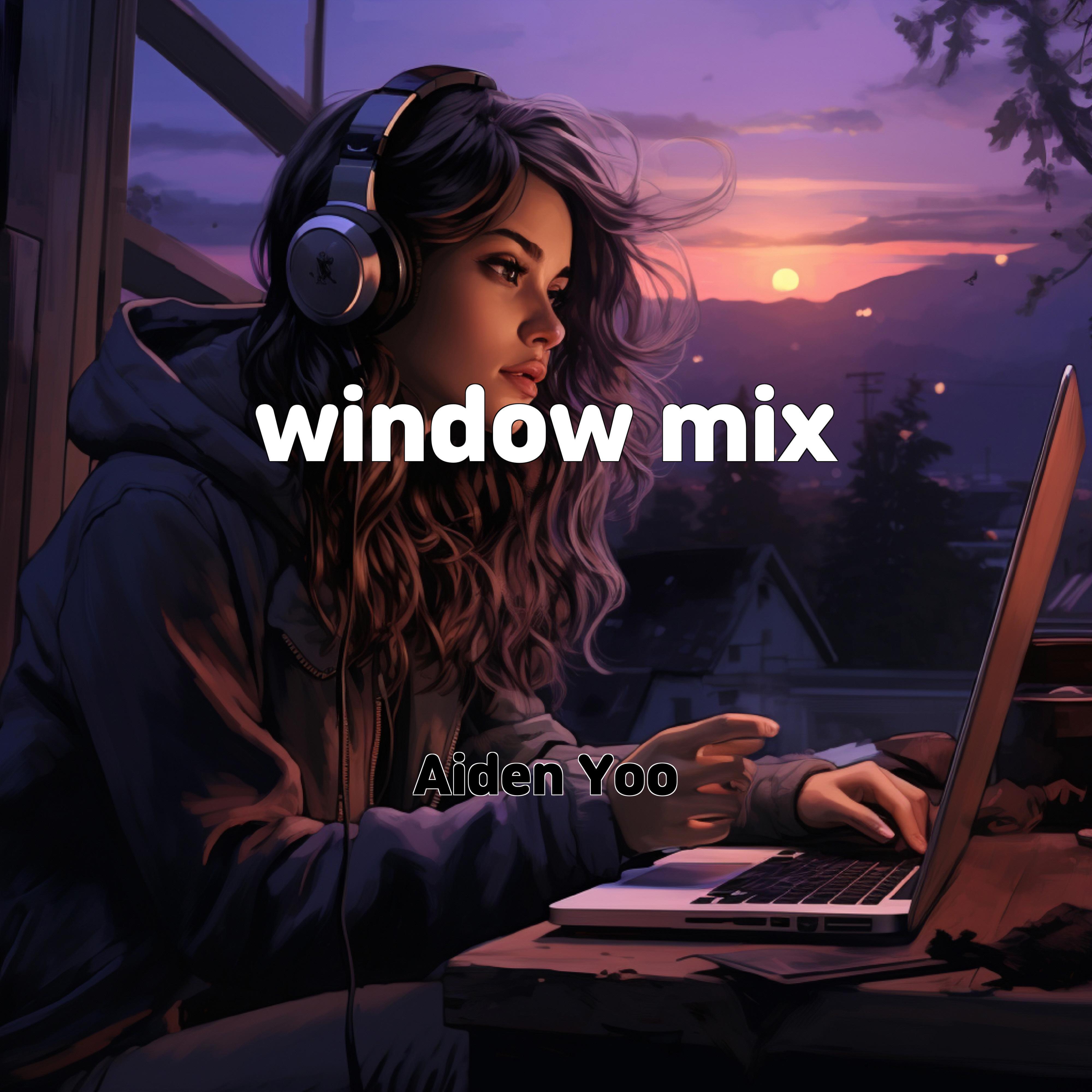 Постер альбома window mix