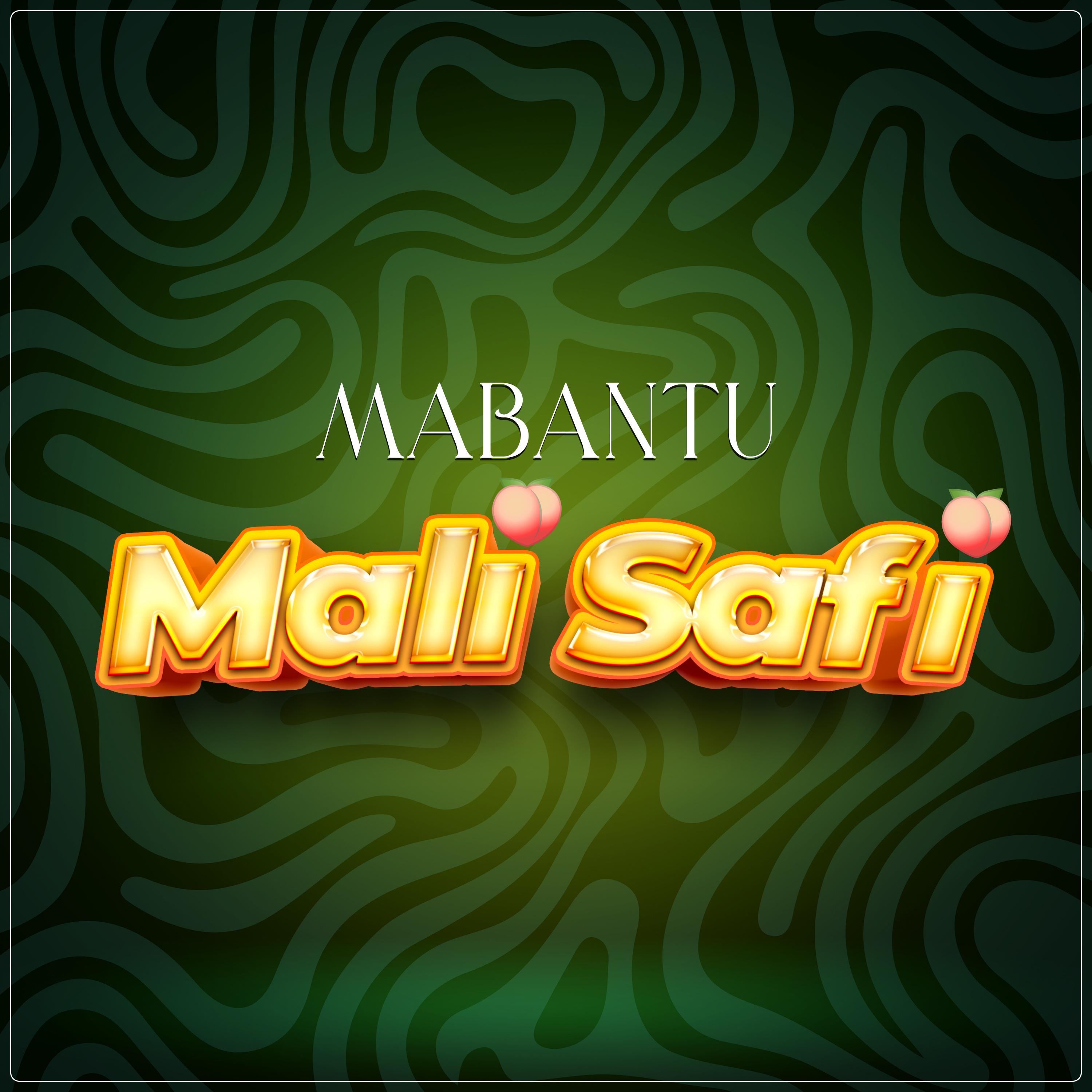 Постер альбома Mali Safi