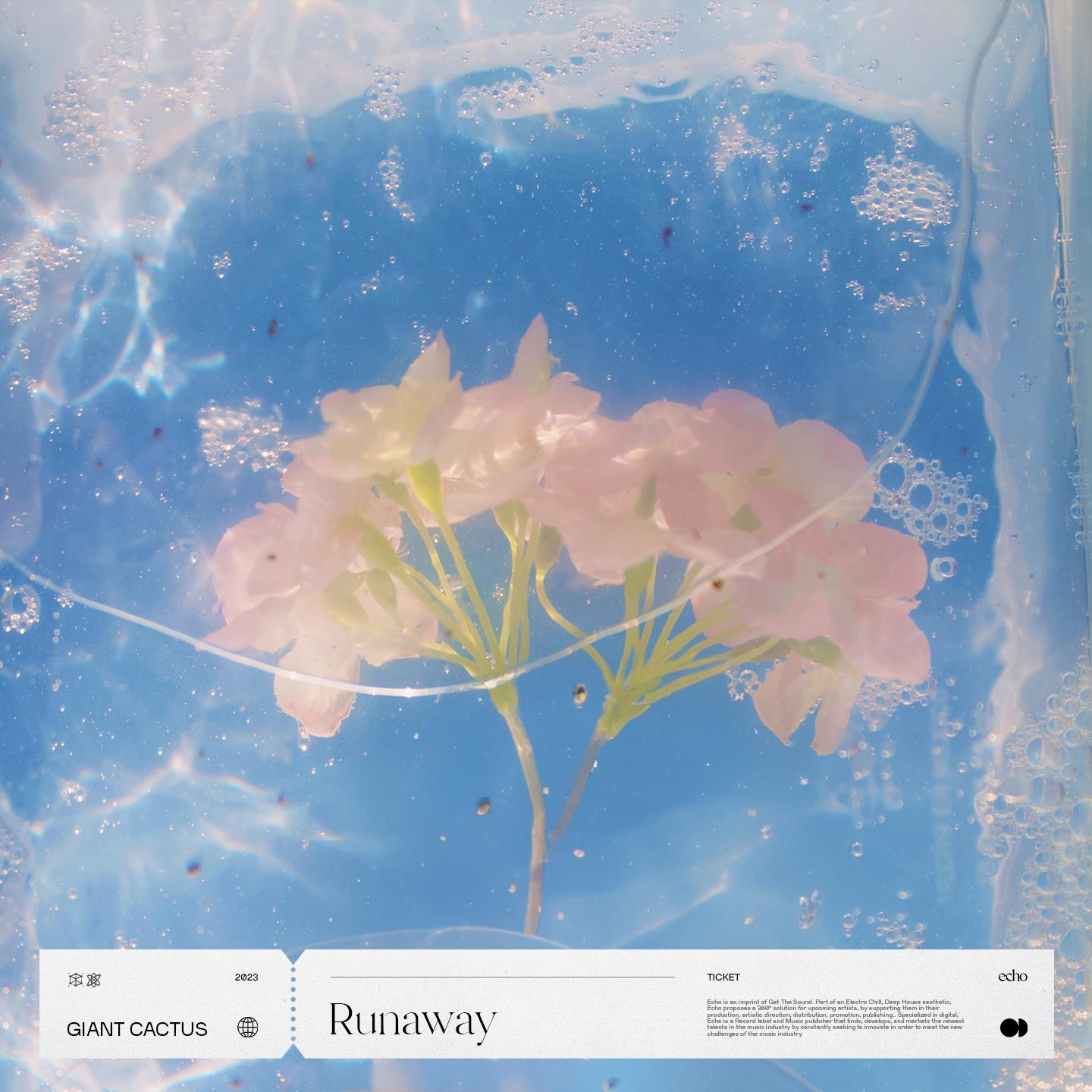 Постер альбома runaway