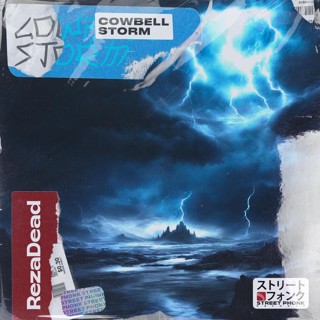 Постер альбома Cowbell Storm