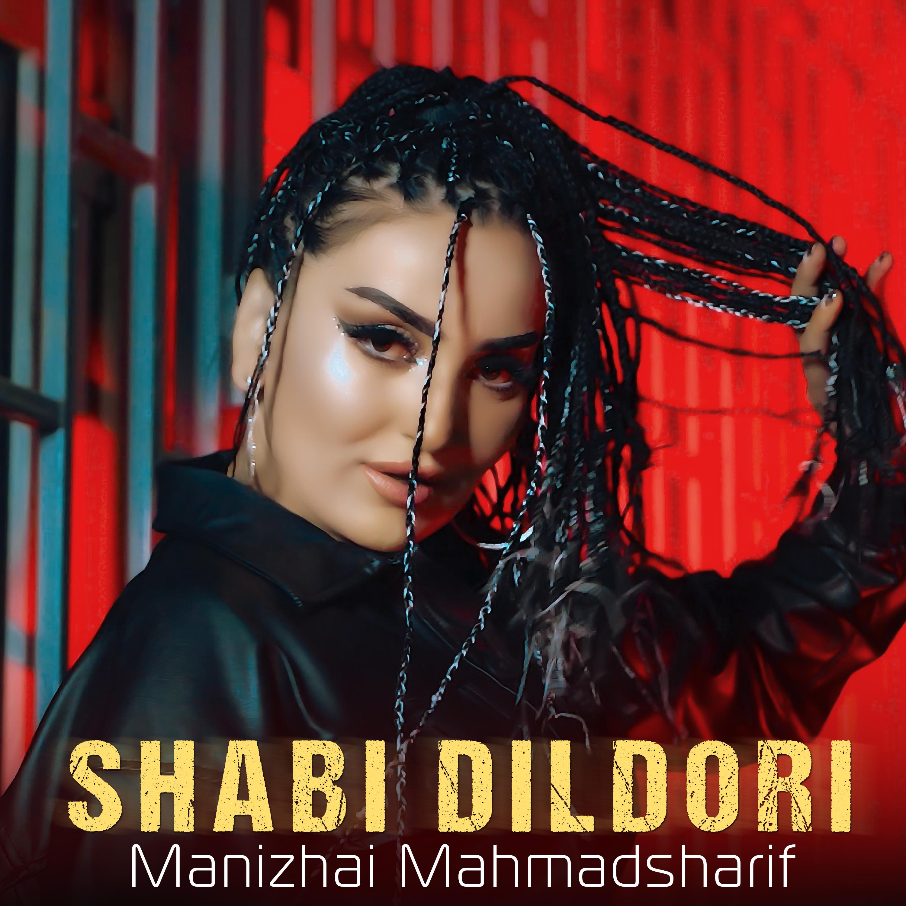 Постер альбома Shabi dildori