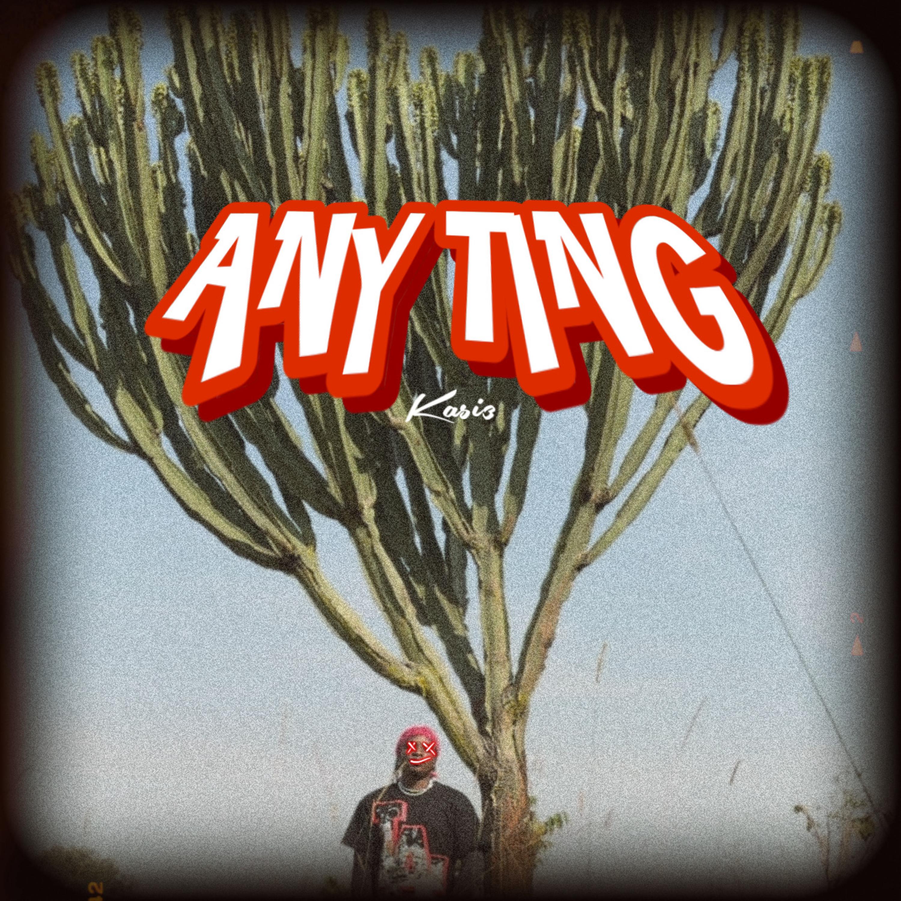 Постер альбома Anyting