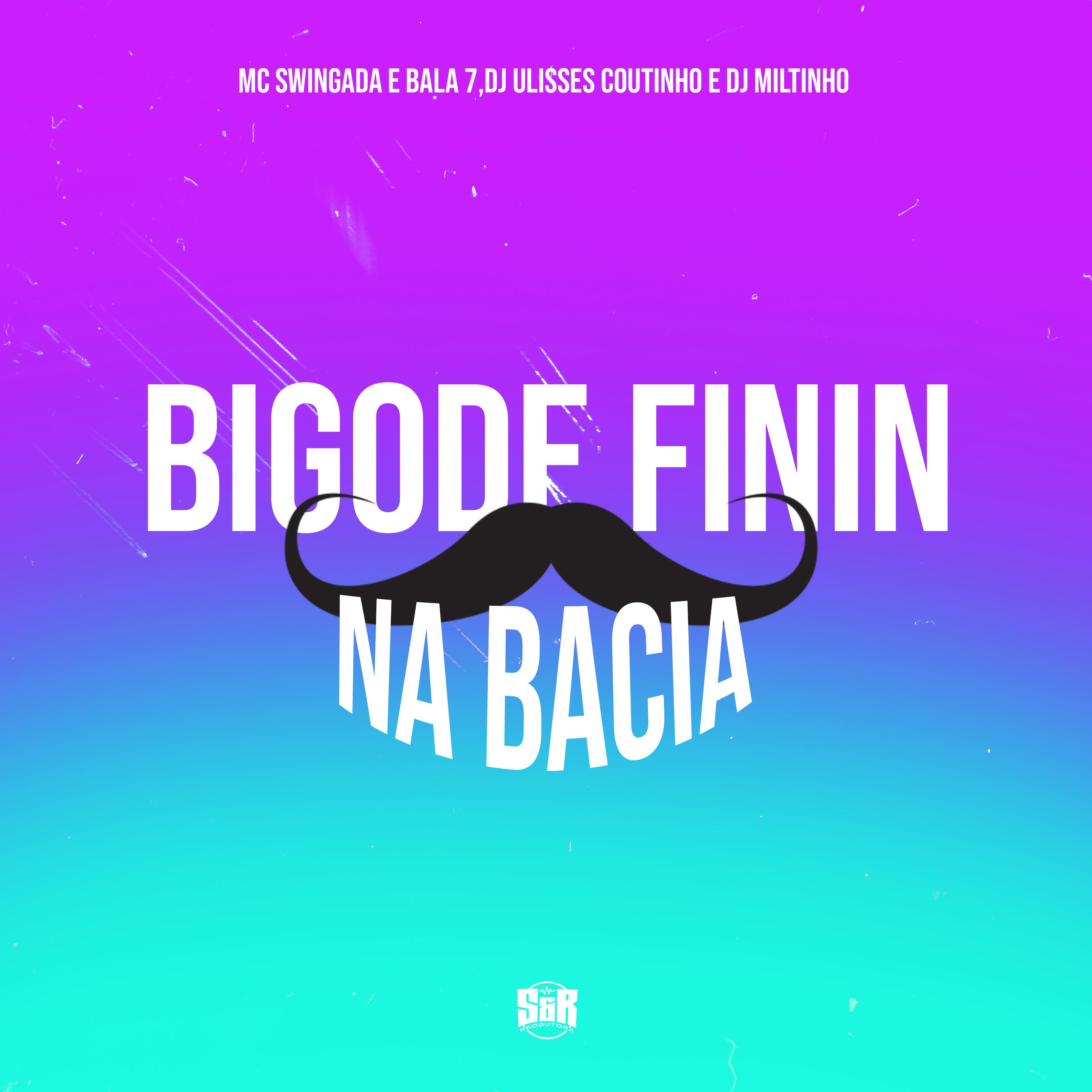Постер альбома Bigode Finin na Bacia
