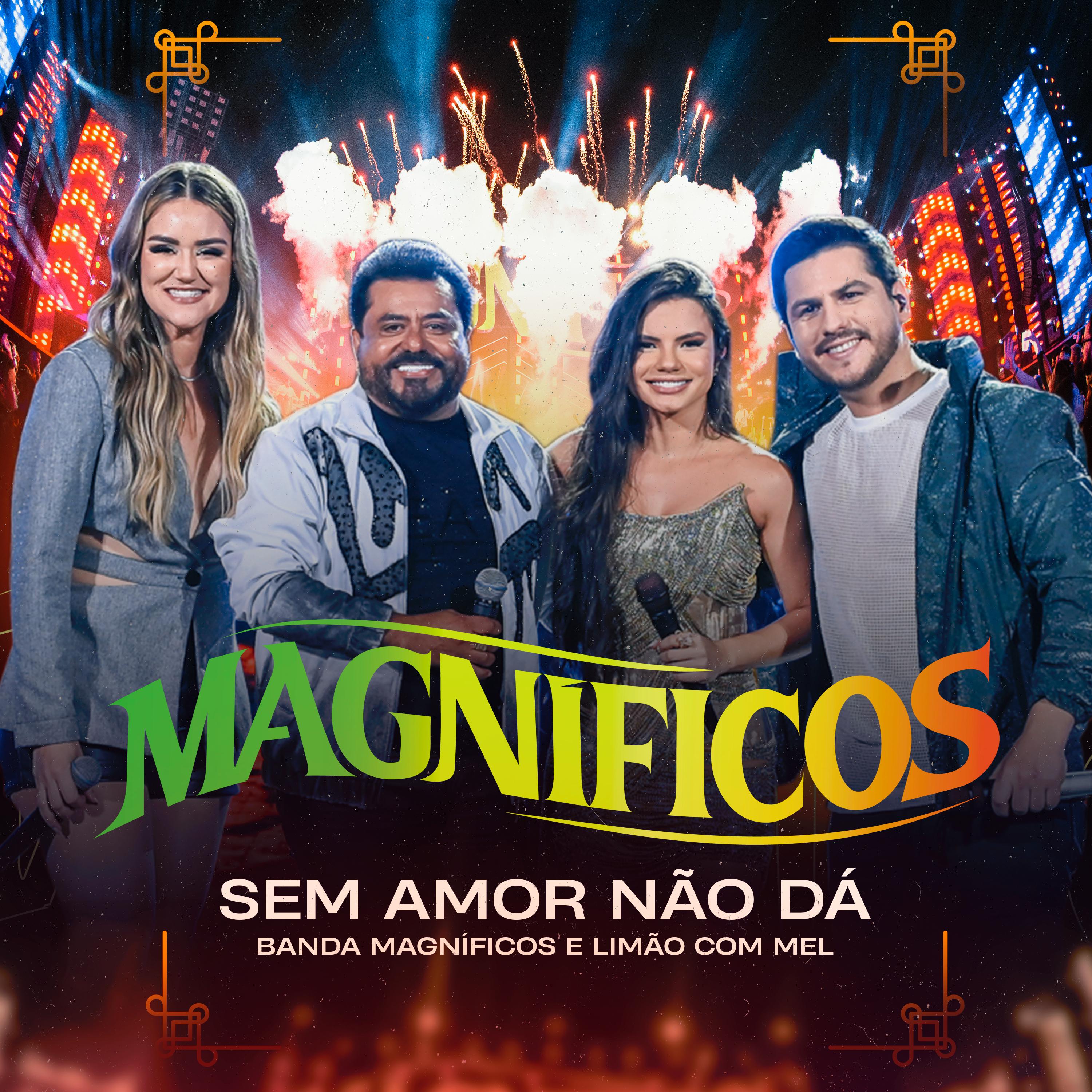 Постер альбома Sem Amor Não Dá