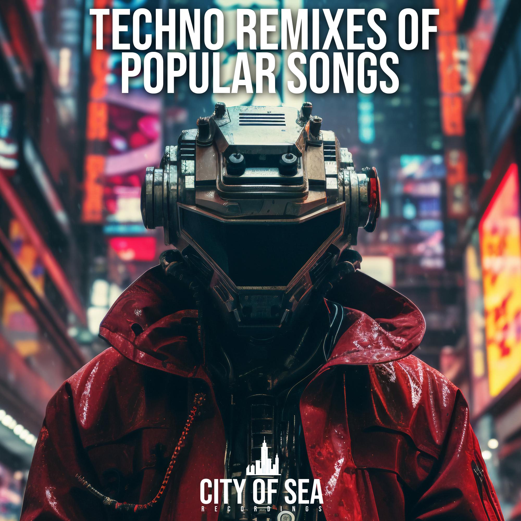Постер альбома Techno Remixes Of Popular Songs