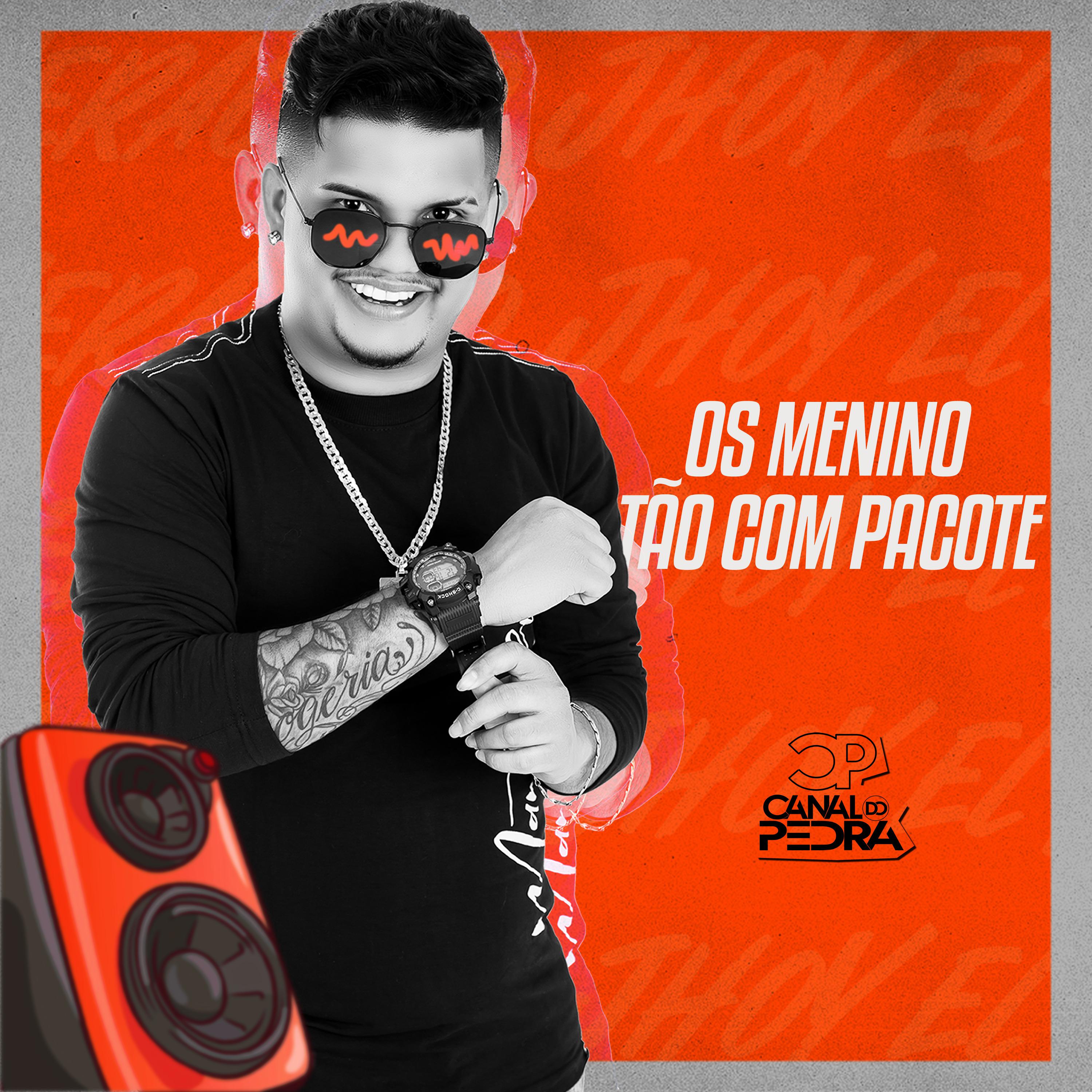 Постер альбома Os Menino Tão Com Pacote