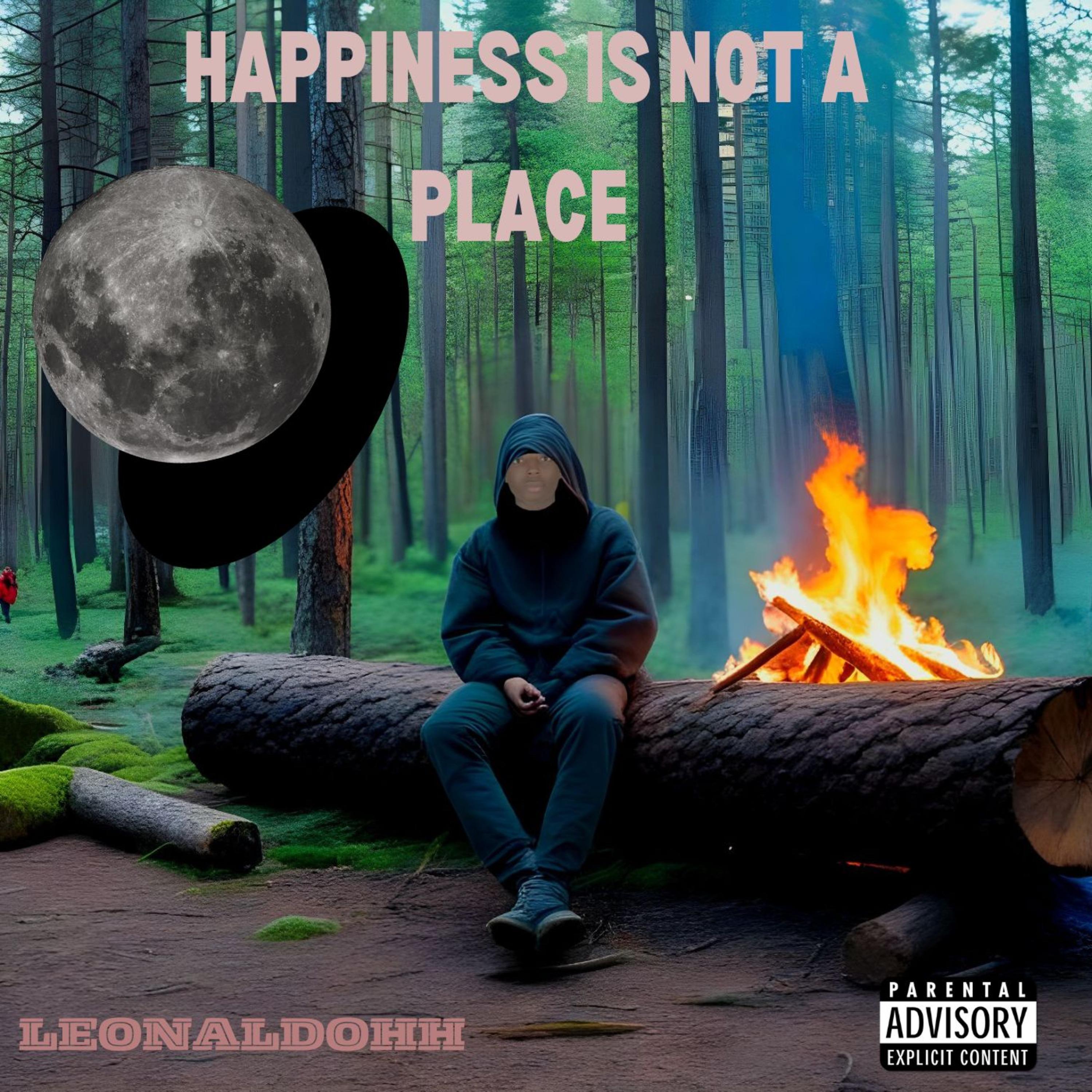 Постер альбома Happiness Is Not a Place