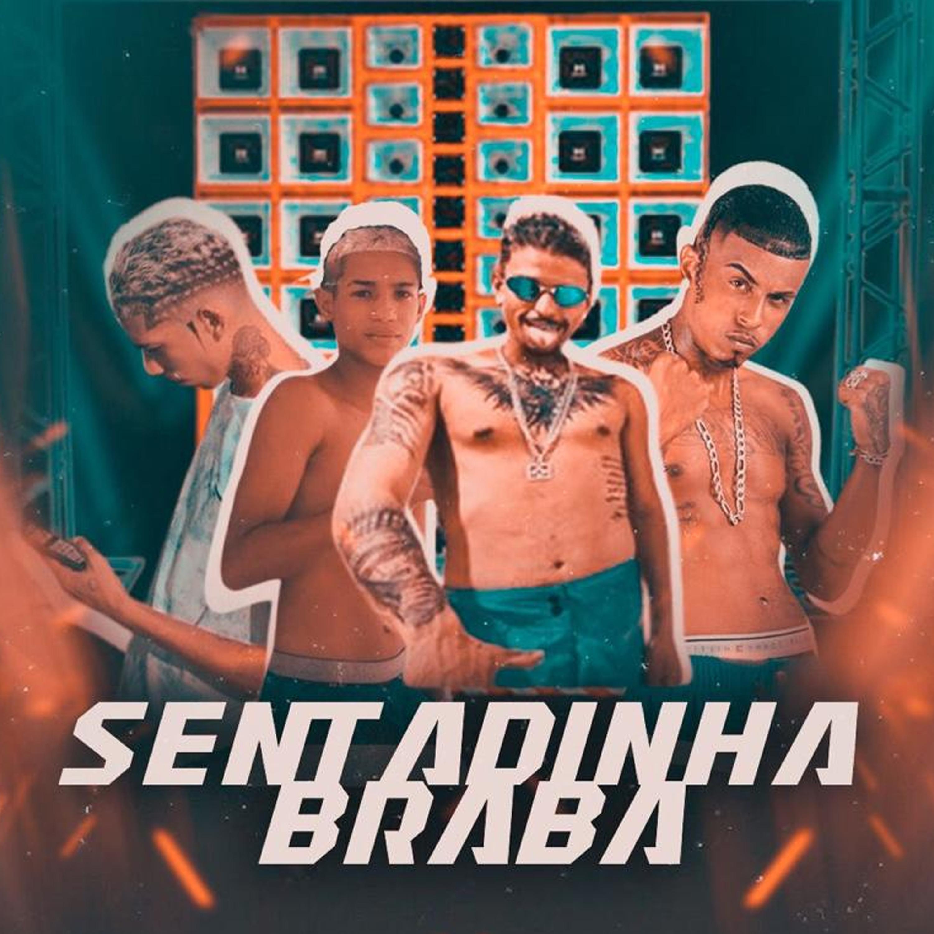 Постер альбома Sentadinha Braba