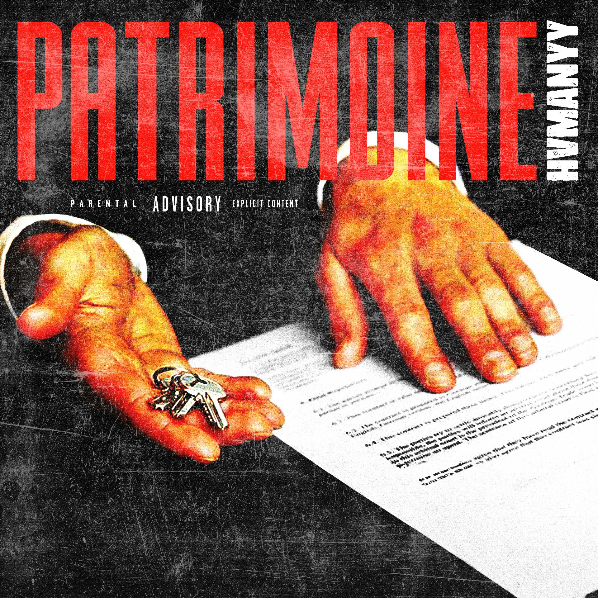 Постер альбома Patrimoine