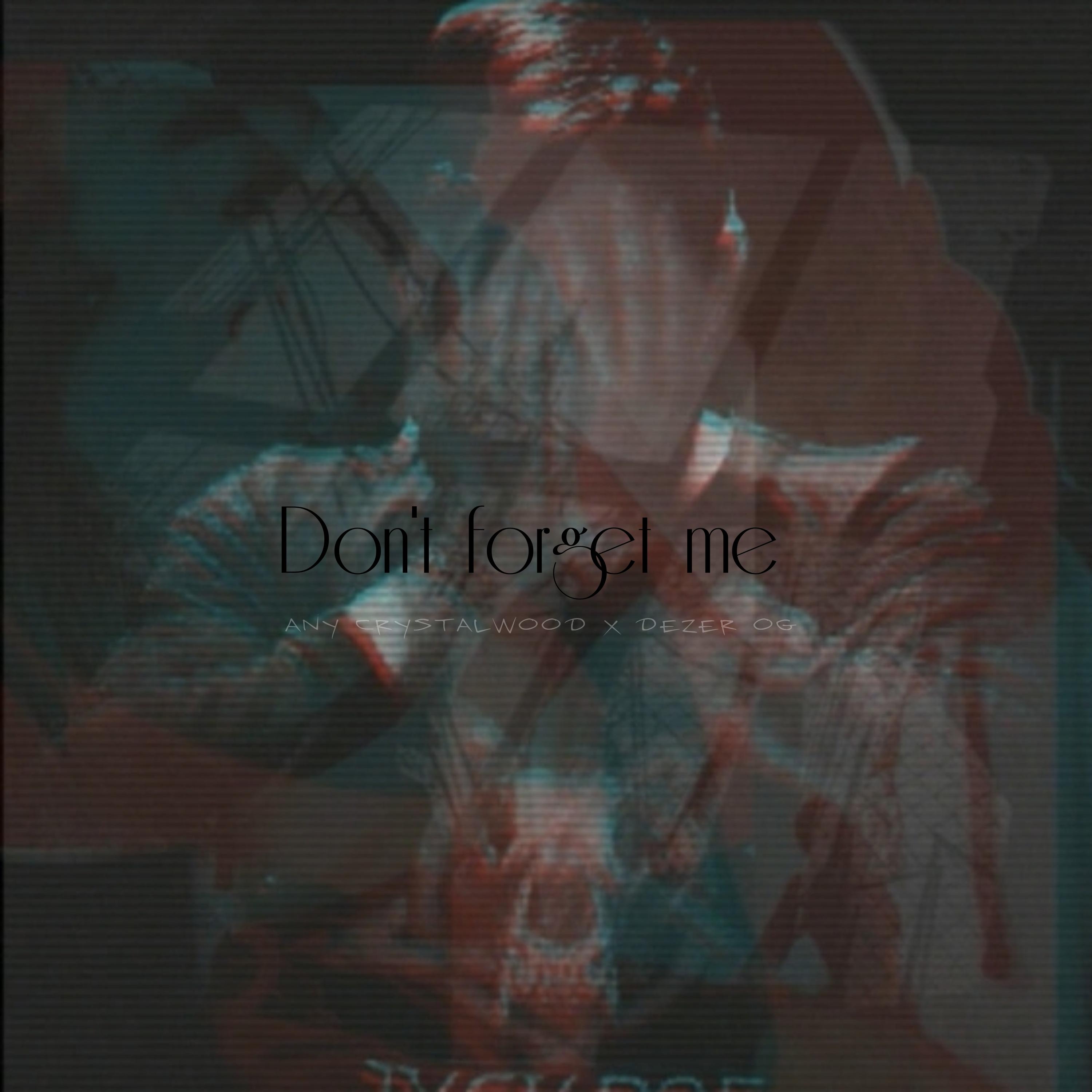 Постер альбома Don't Forget Me