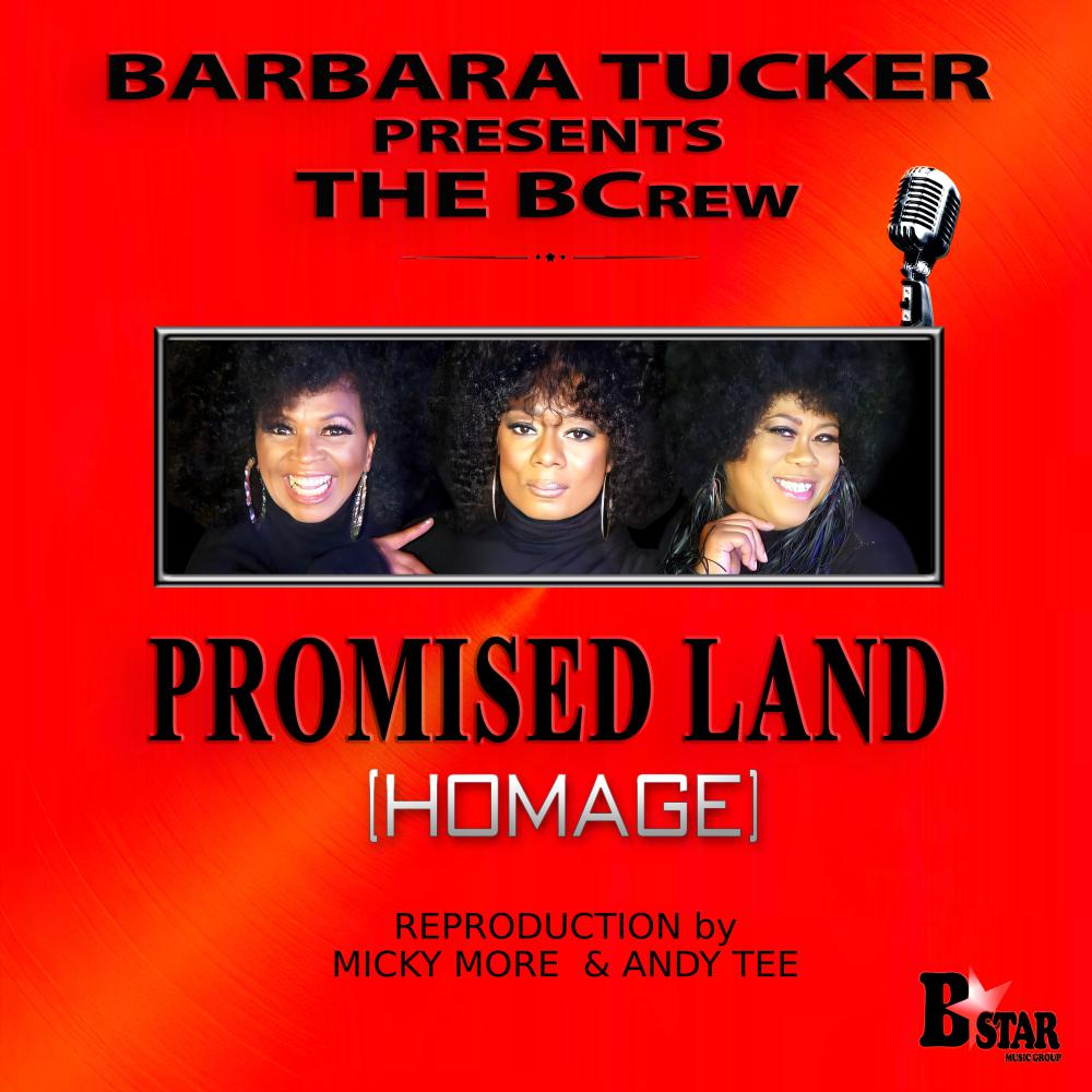 Постер альбома Promised Land (Homage)