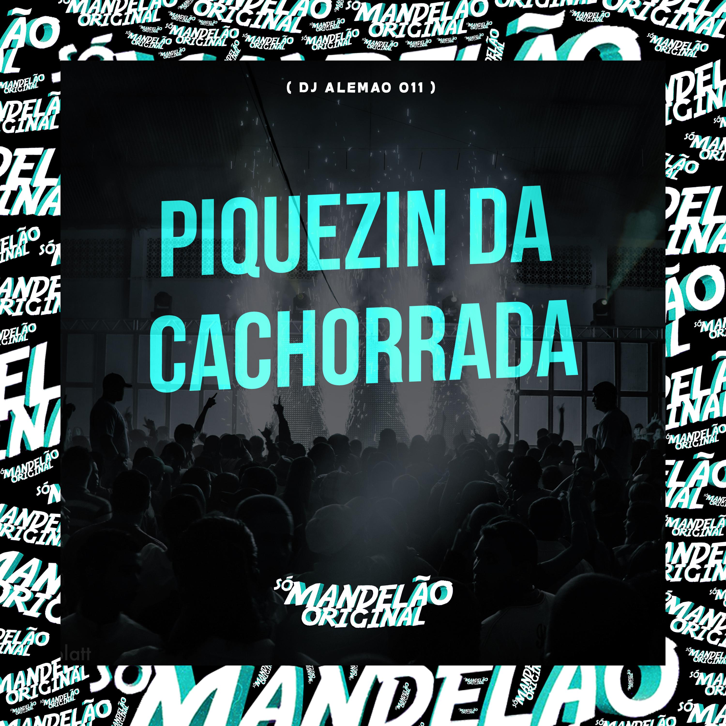 Постер альбома Piquezin da Cachorrada