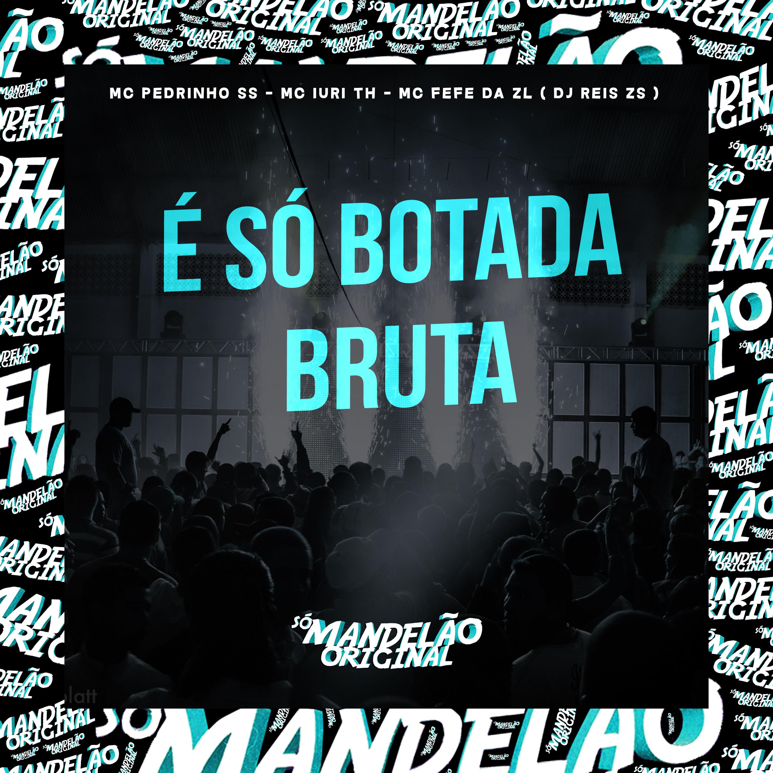 Постер альбома É Só Botada Bruta