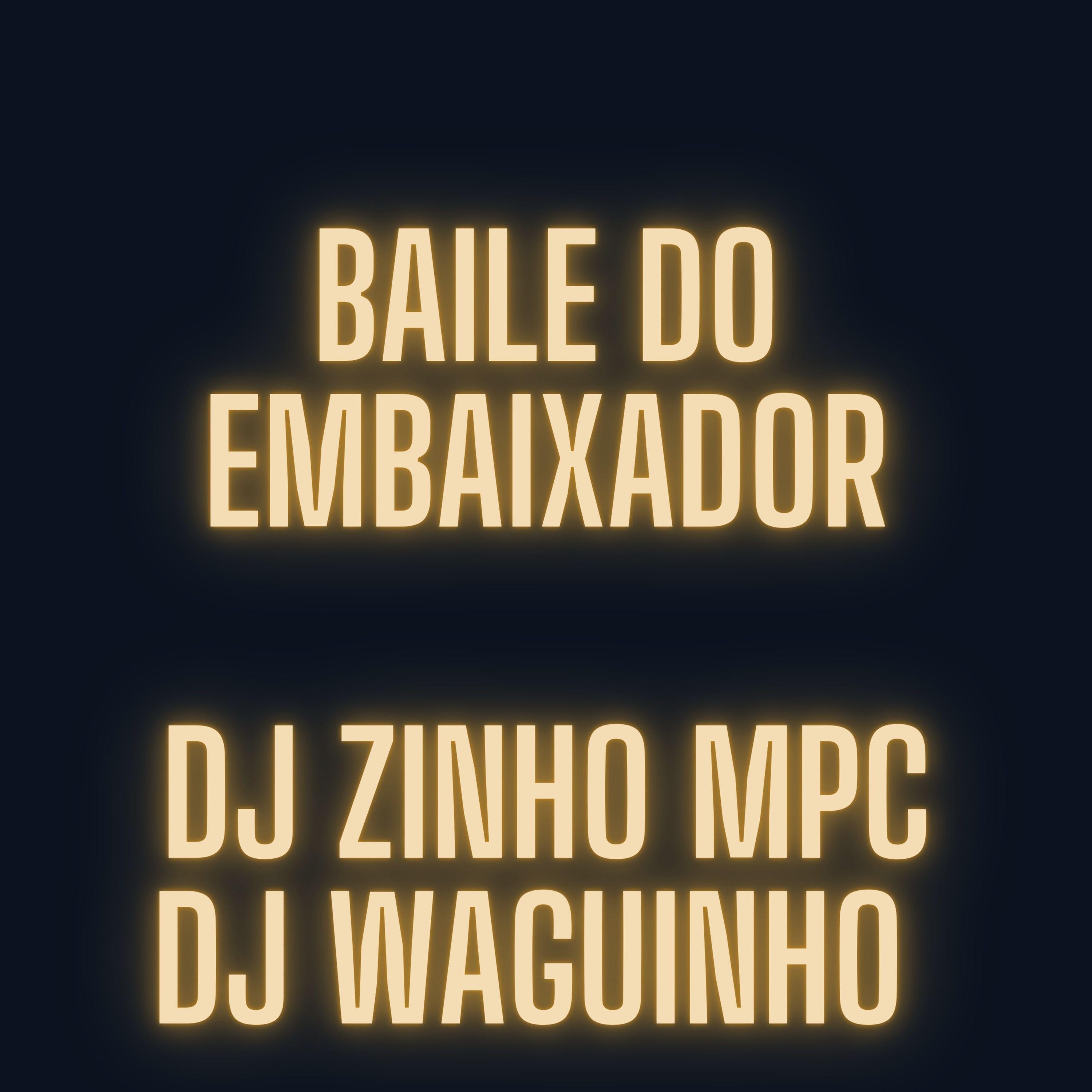Постер альбома Baile do Embaixador