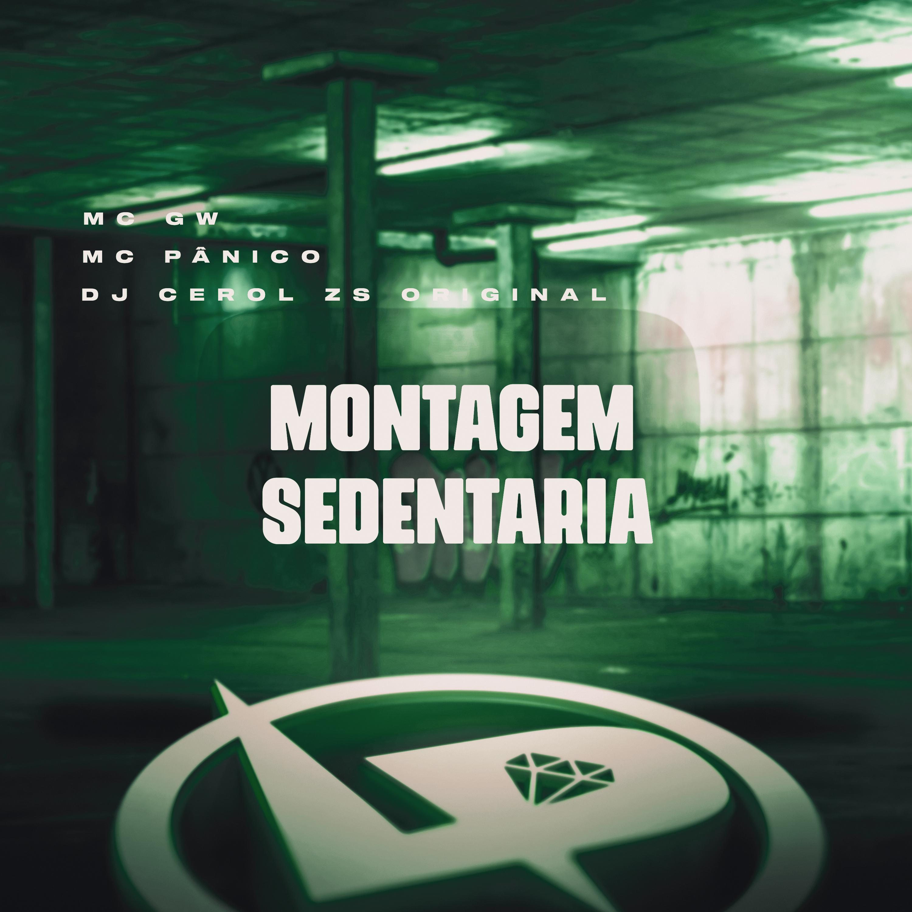 Постер альбома Montagem Sedentária