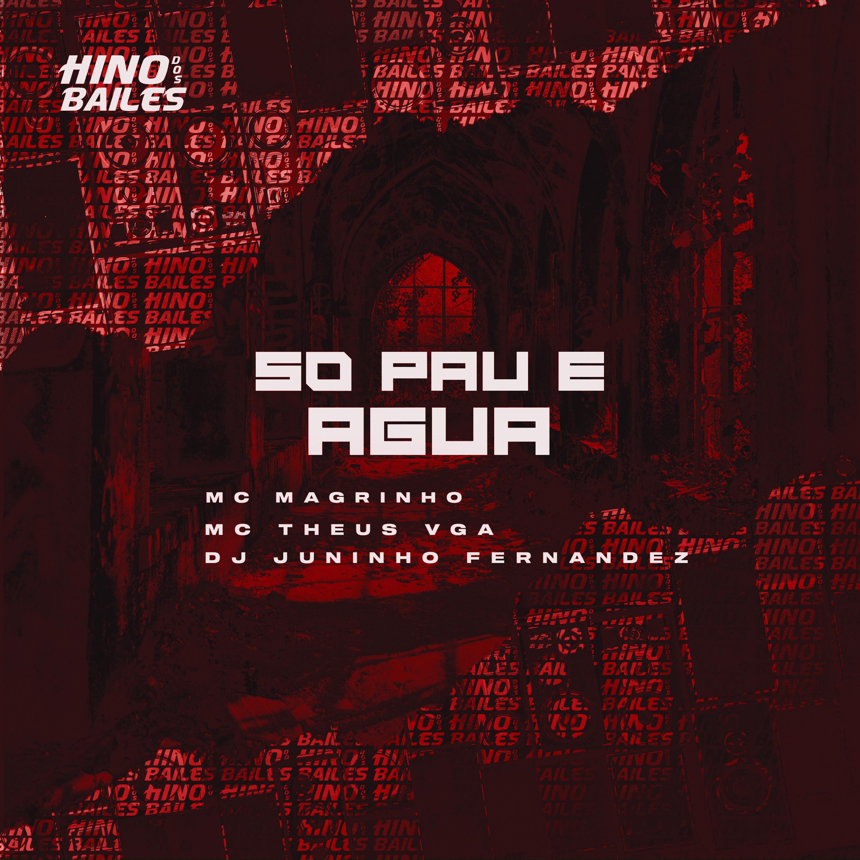 Постер альбома Só Pau e Agua