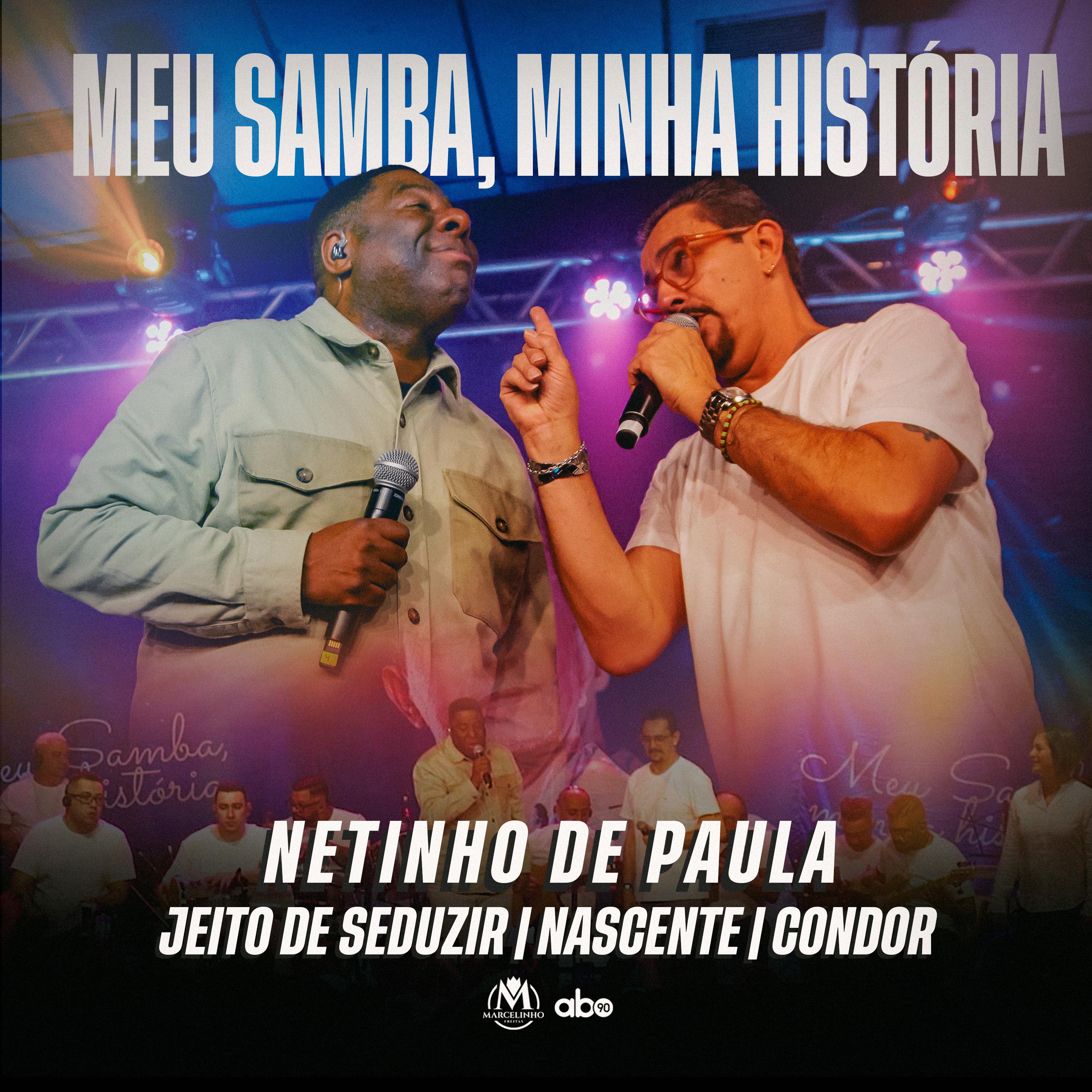 Постер альбома Meu Samba, Minha História