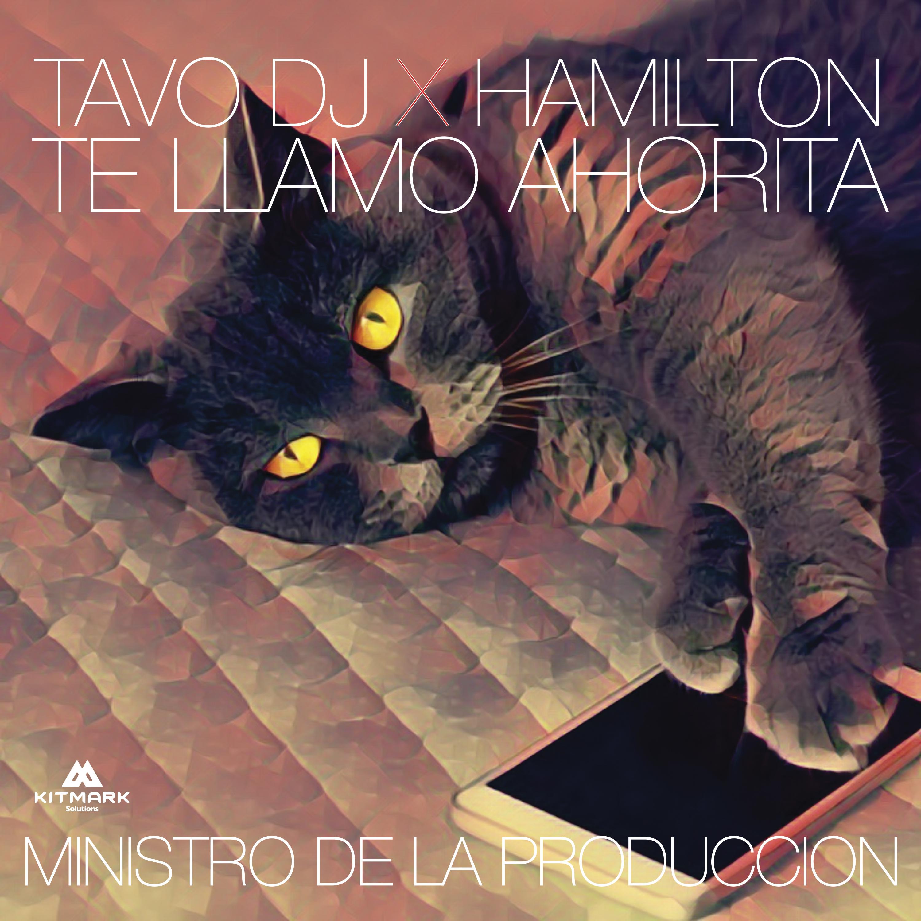 Постер альбома Te Llamo Ahorita