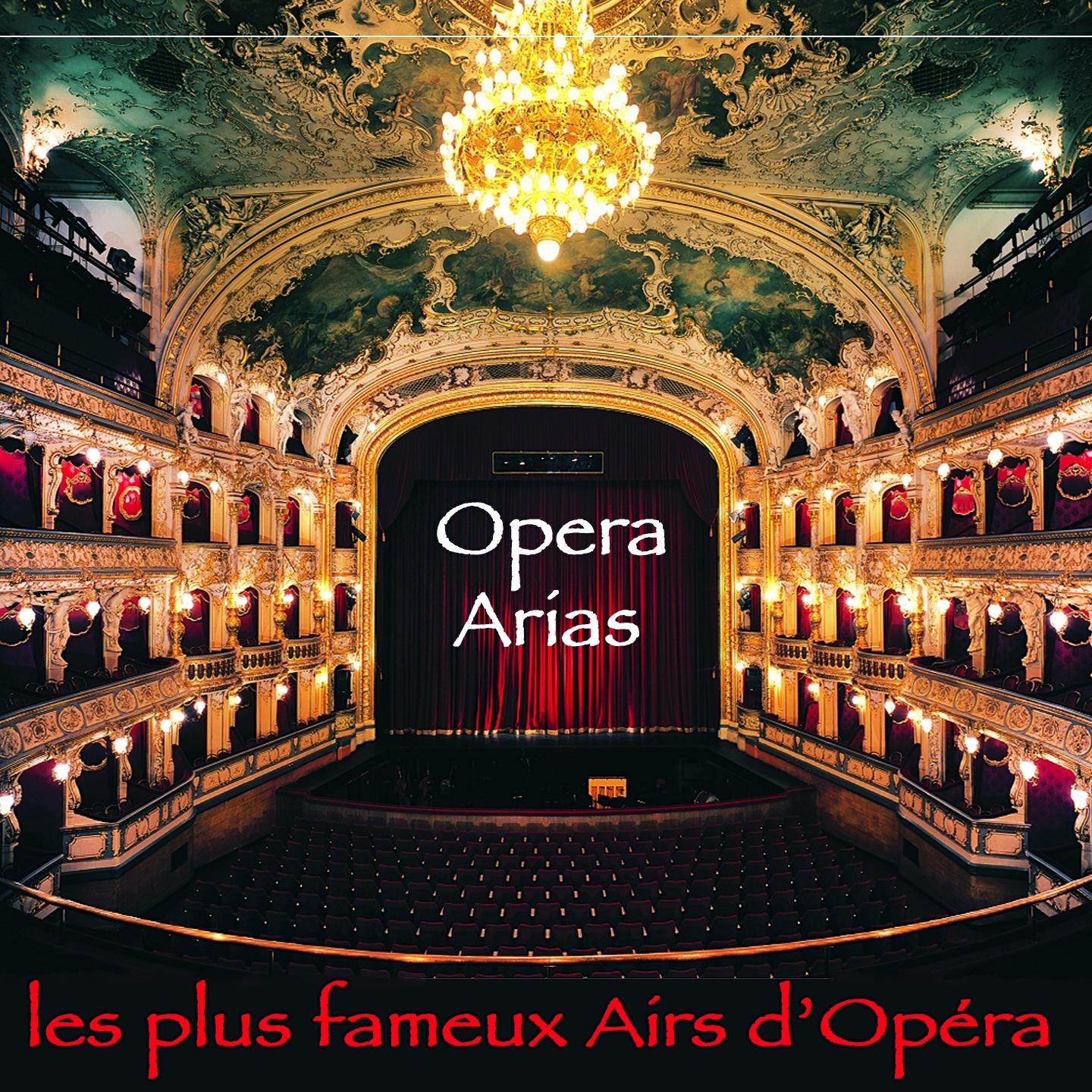 Постер альбома Opera Arias (les plus fameux airs d'Opéra)