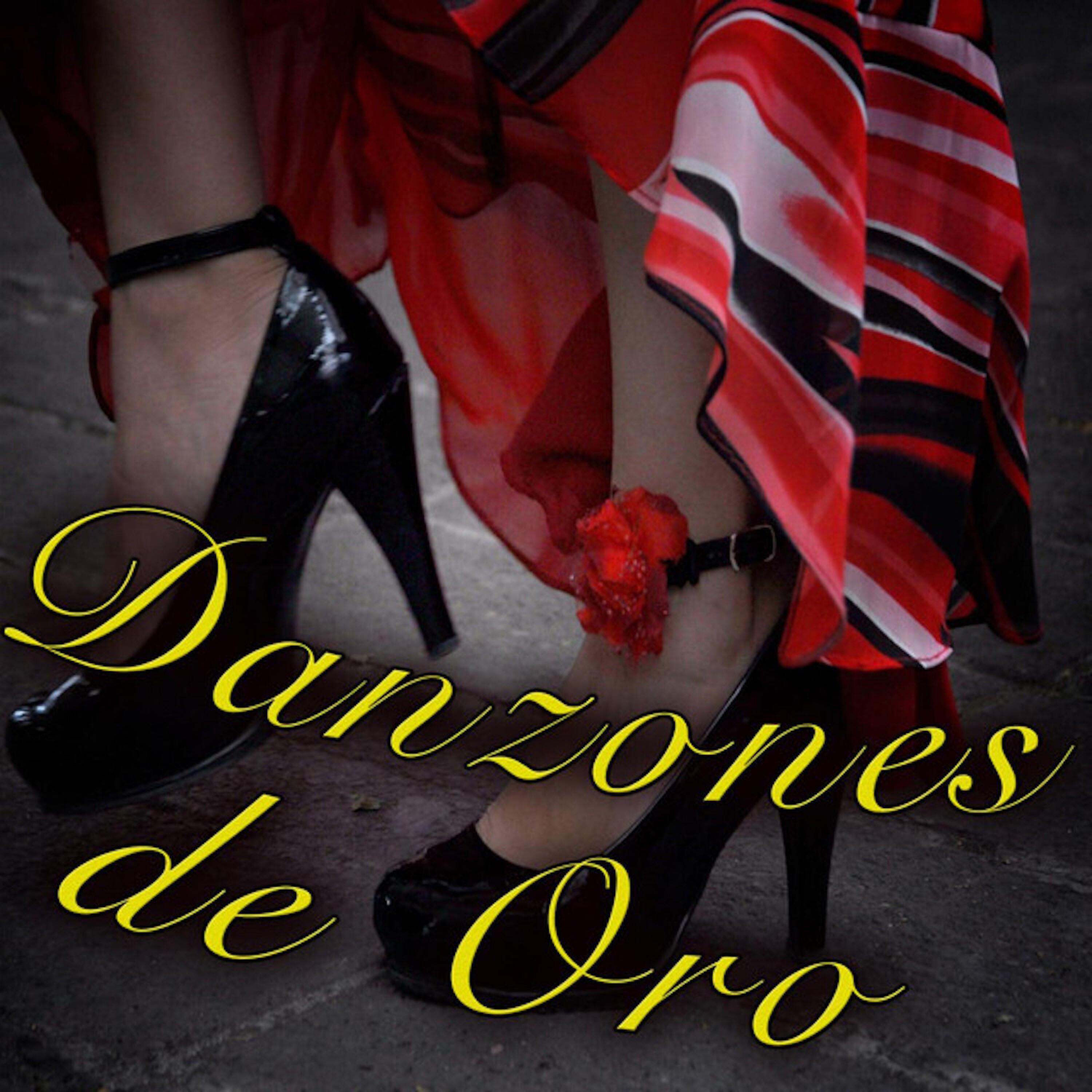Постер альбома Danzones de Oro