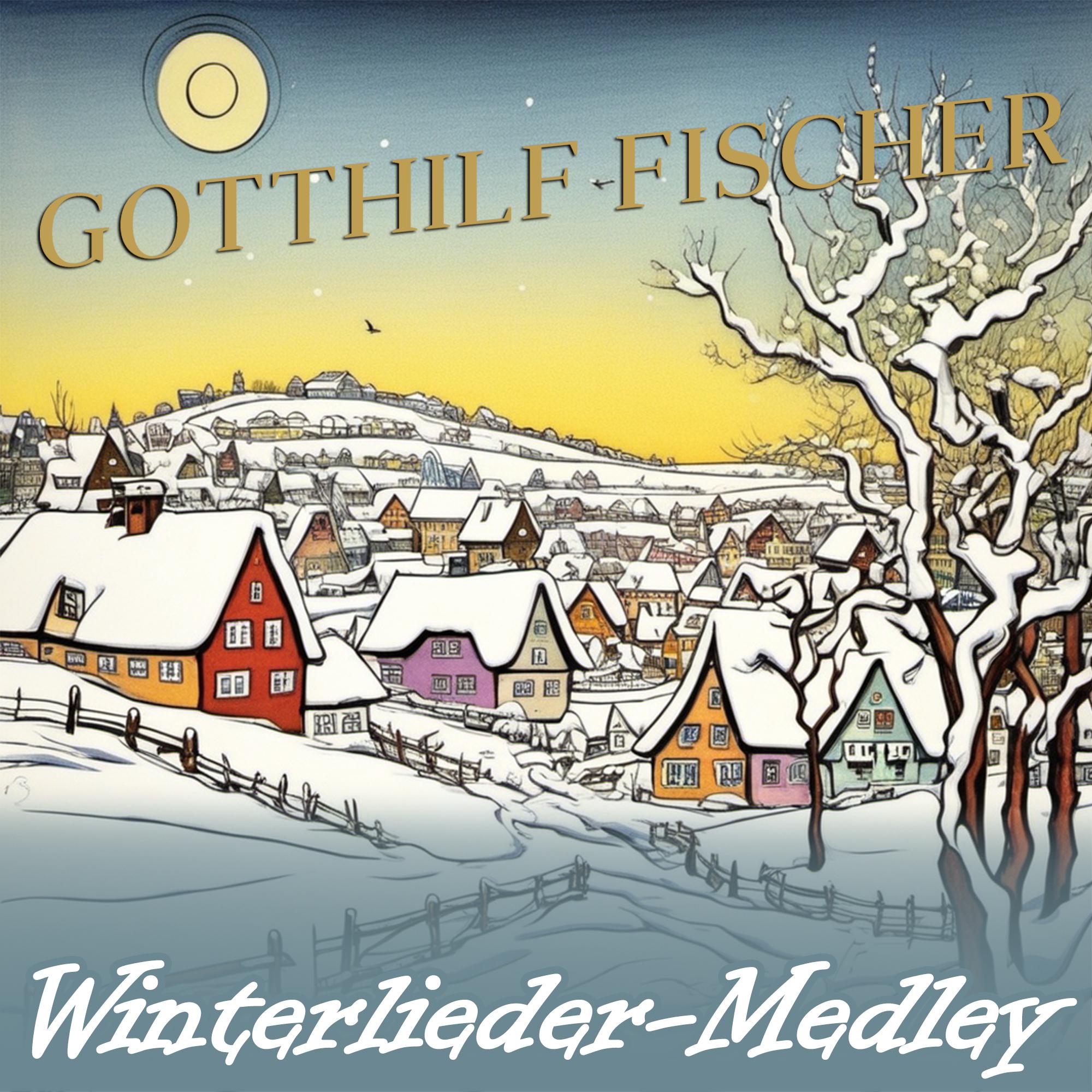 Постер альбома Winterlieder-Medley