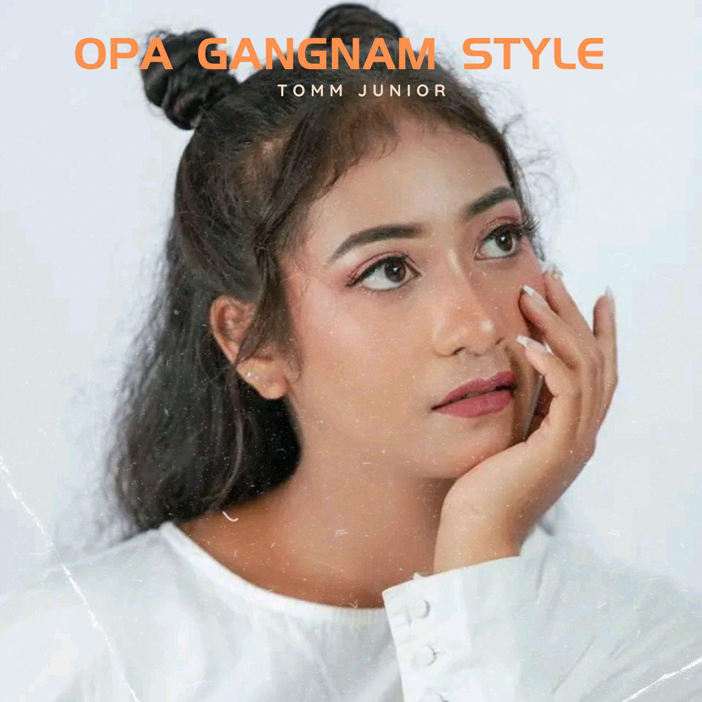 Постер альбома OPA GANGNAM STYLE