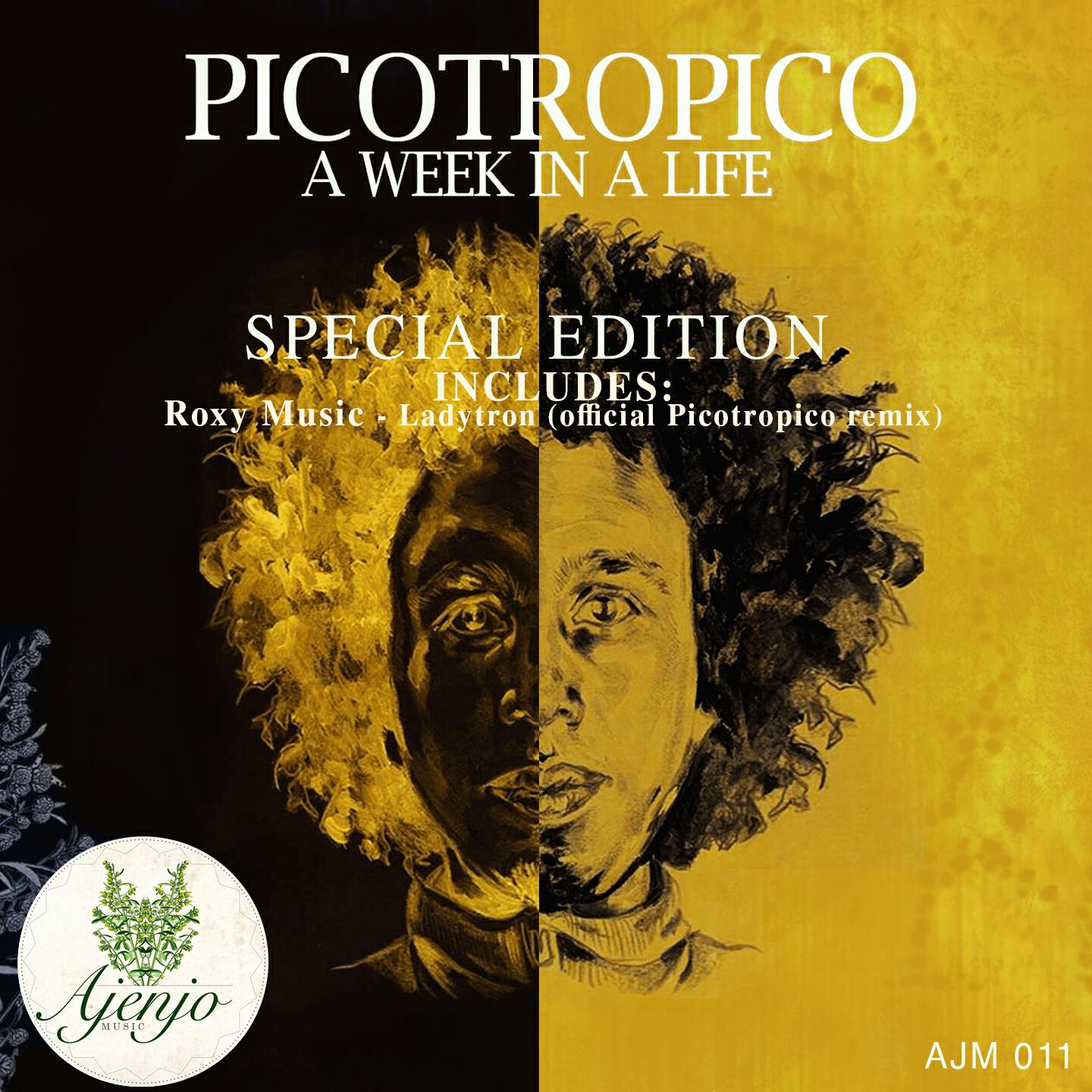 Picotropico - Ladytron (Official Remix)