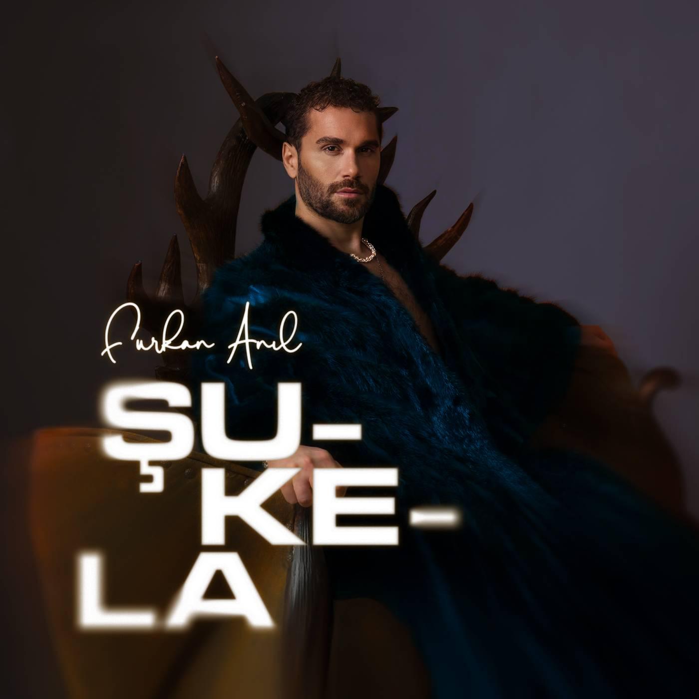Постер альбома Şukela