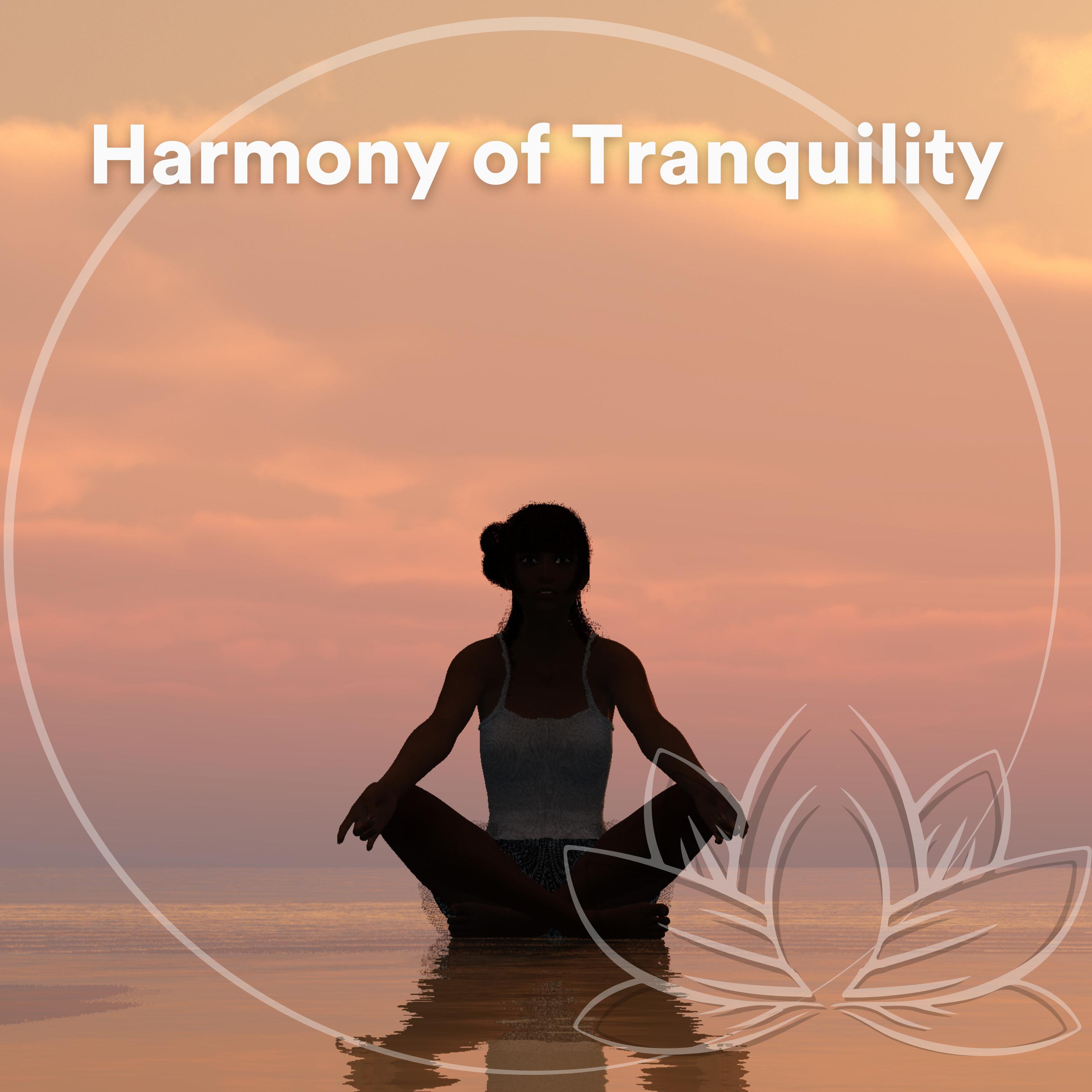 Постер альбома Harmony of Tranquility
