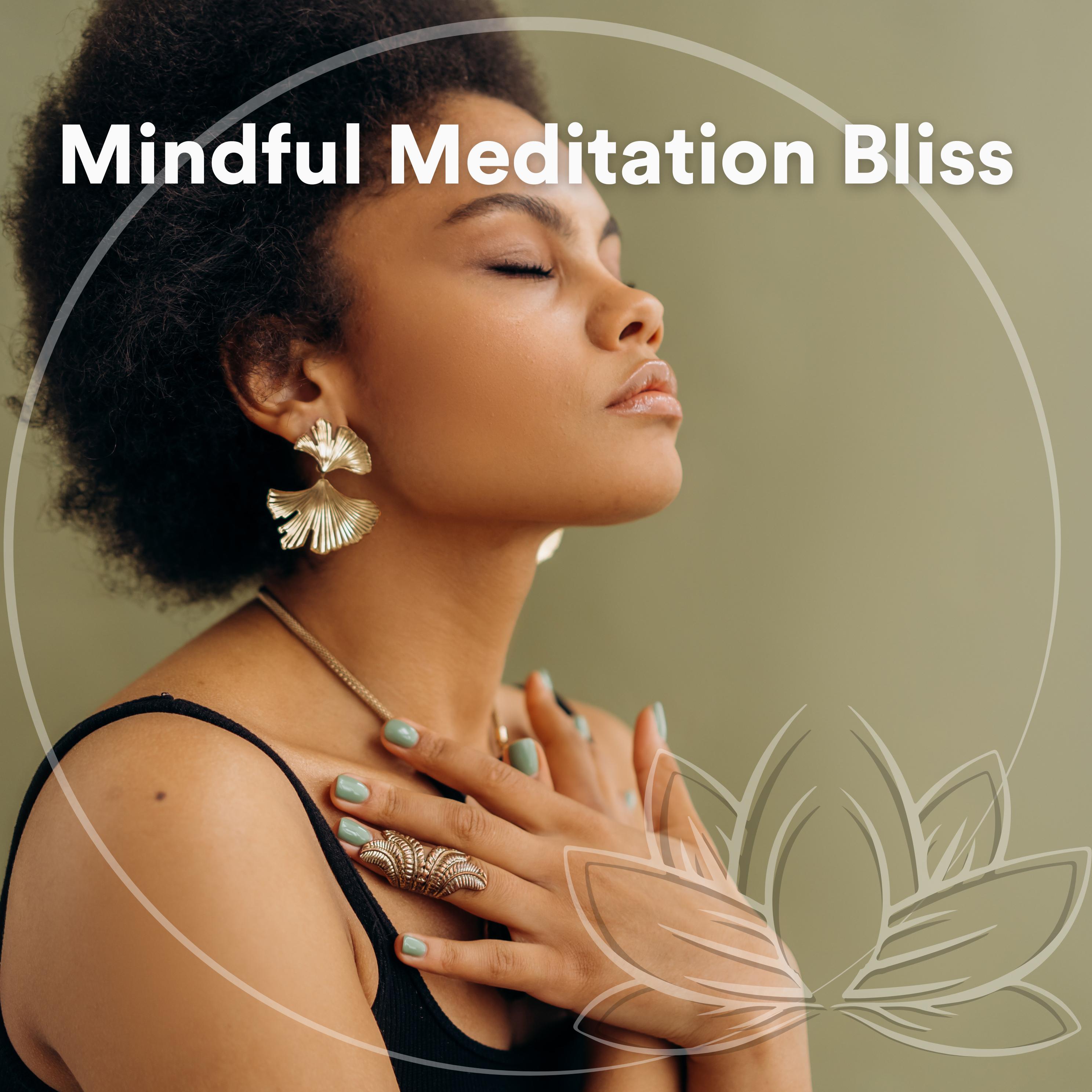 Постер альбома Mindful Meditation Bliss
