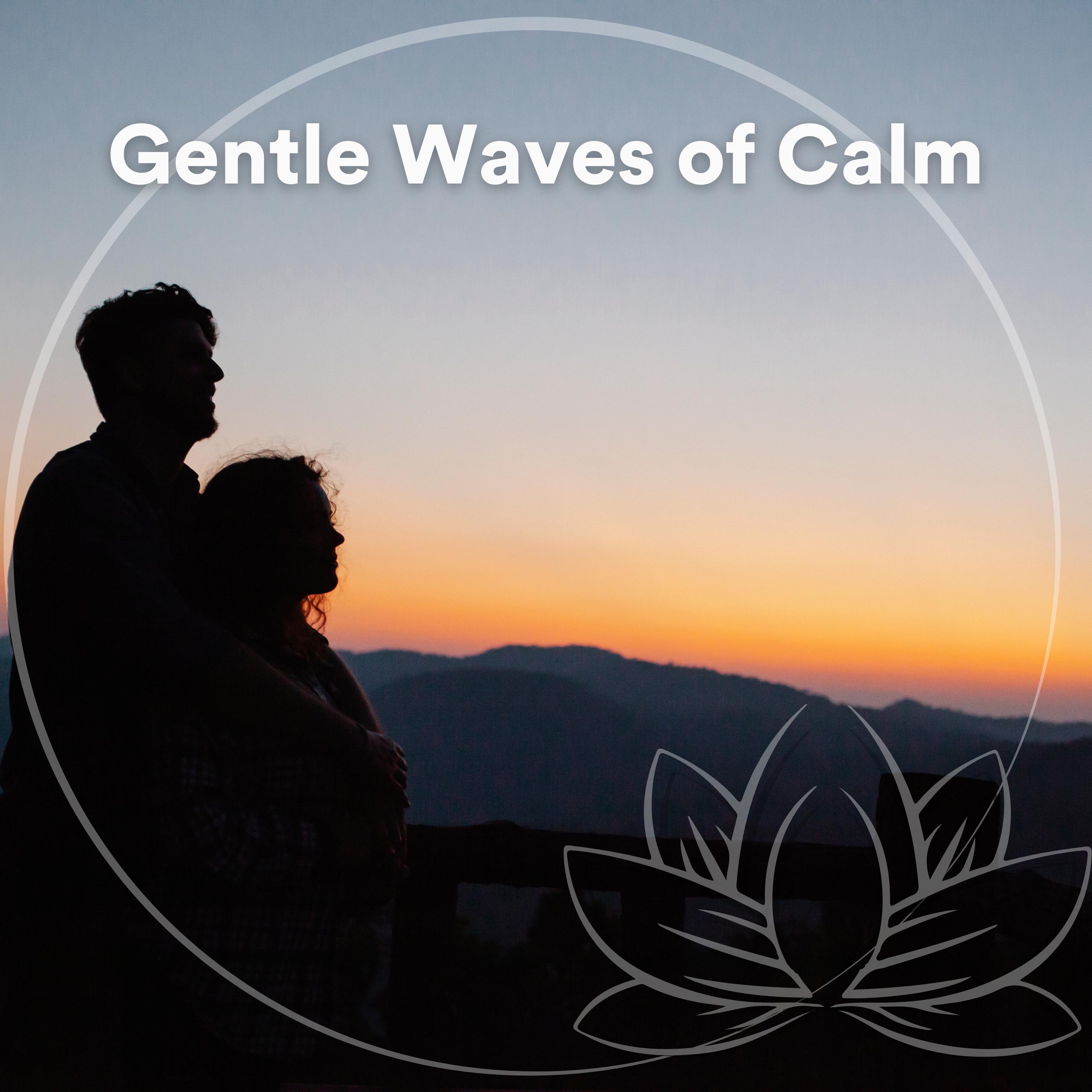 Постер альбома Gentle Waves of Calm