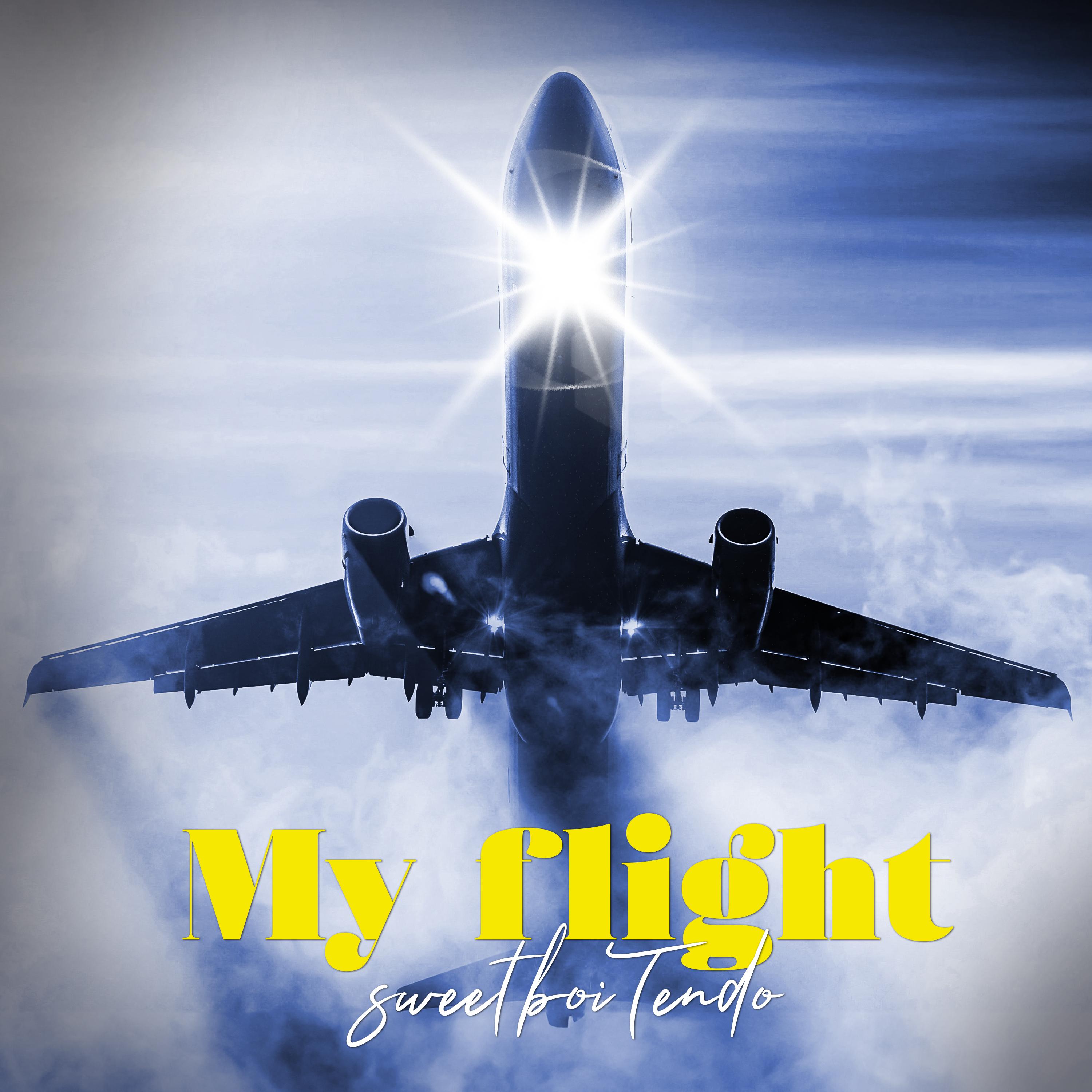 Постер альбома My flight