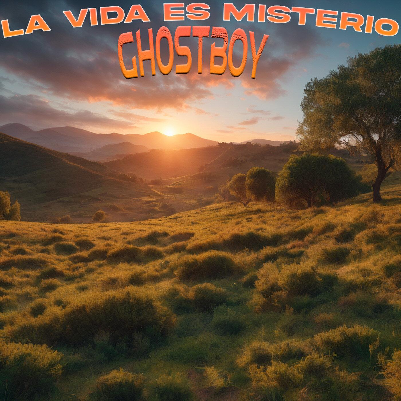 Постер альбома La Vida Es Misterio