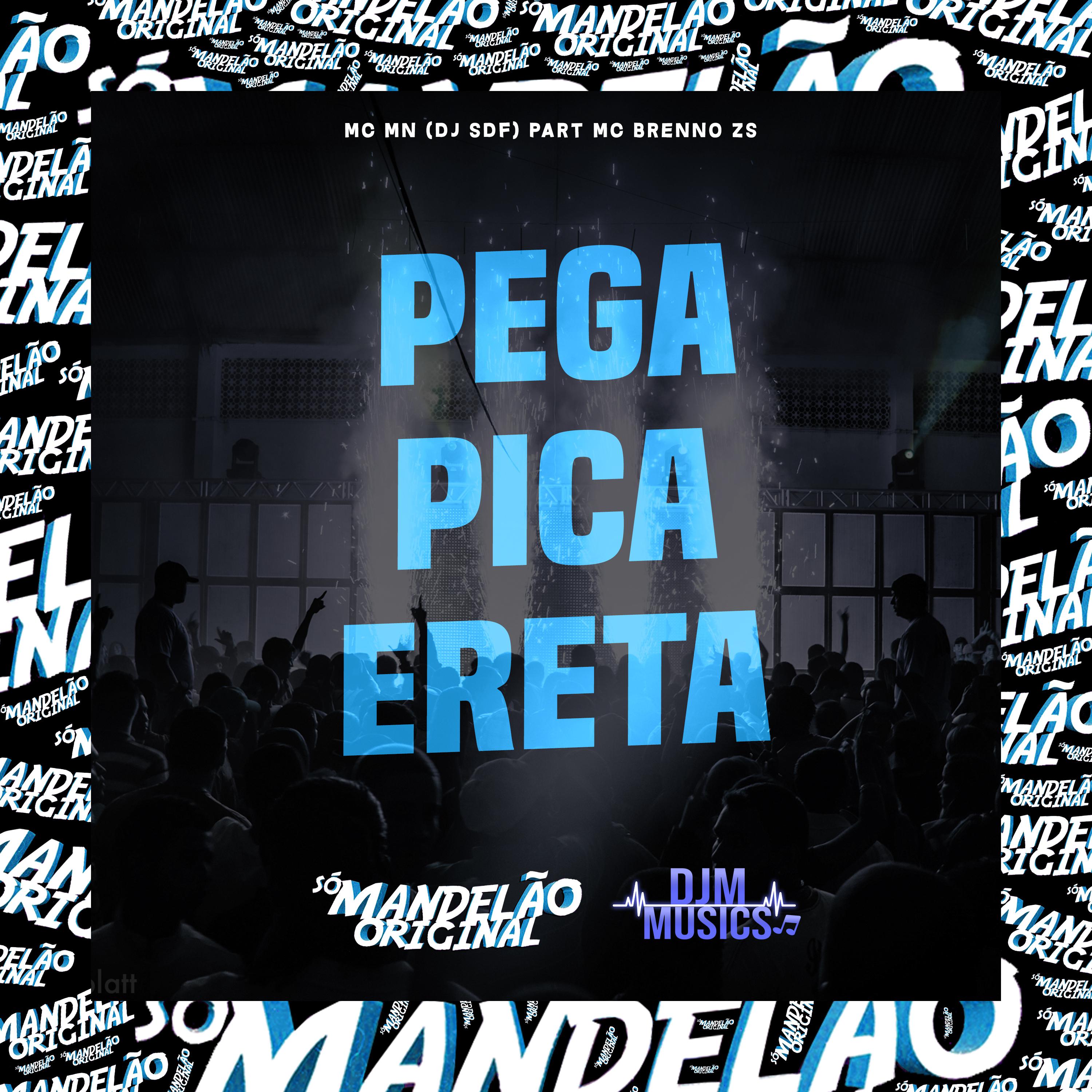 Постер альбома Pega Pica Ereta