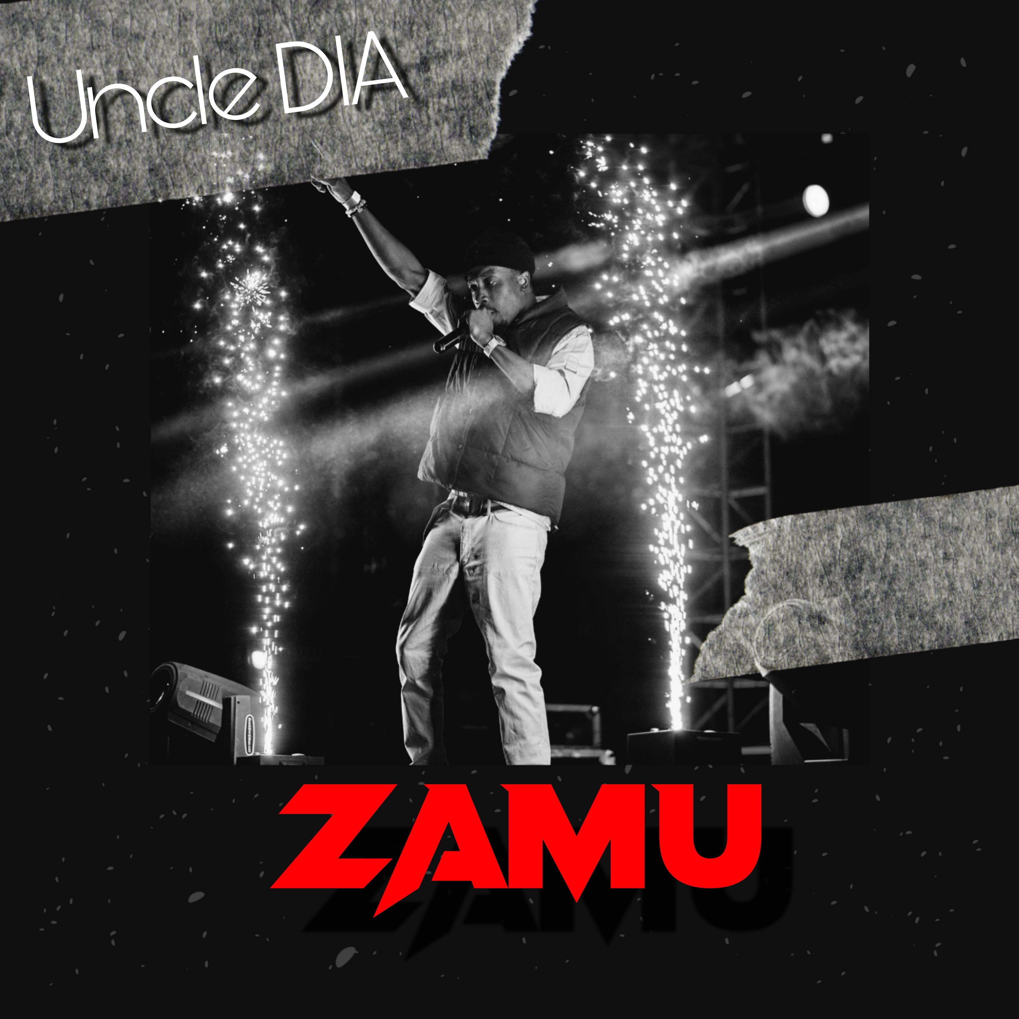 Постер альбома Zamu