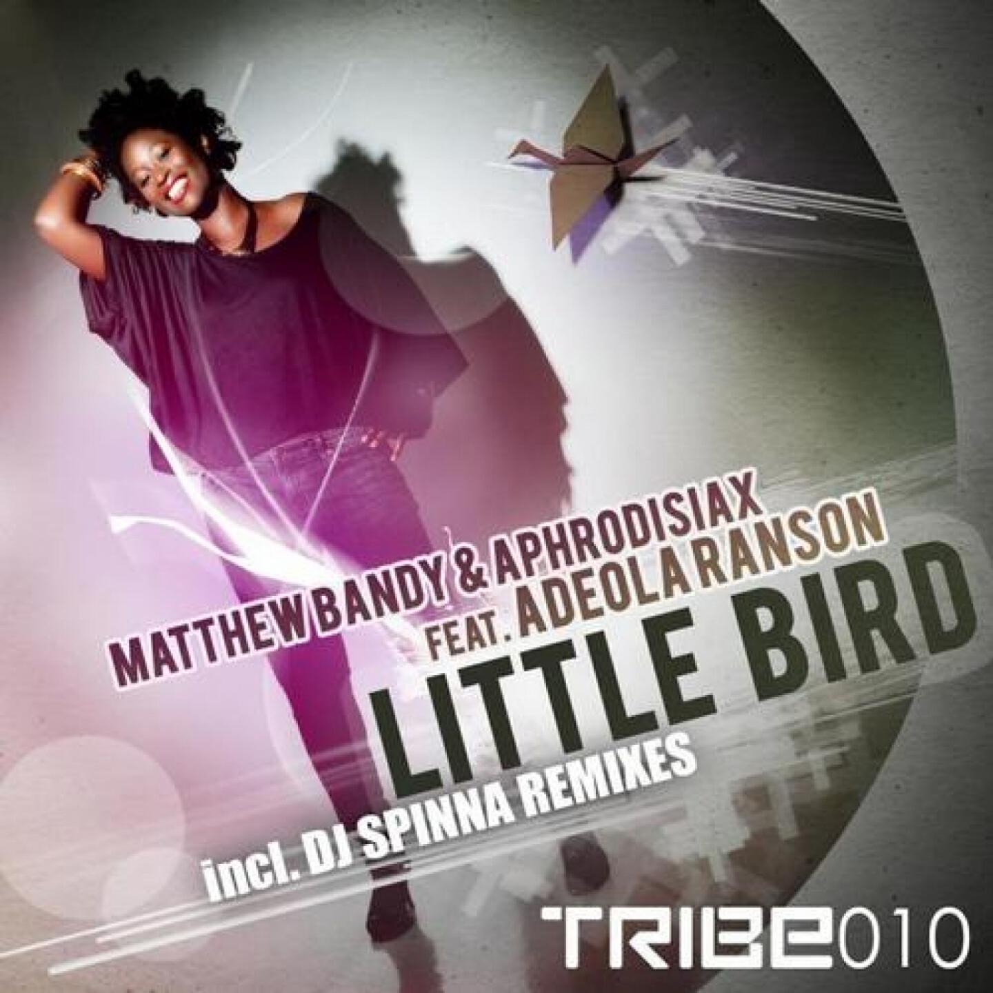 Matthew Bandy - Little Bird (DJ Spinna Mix)