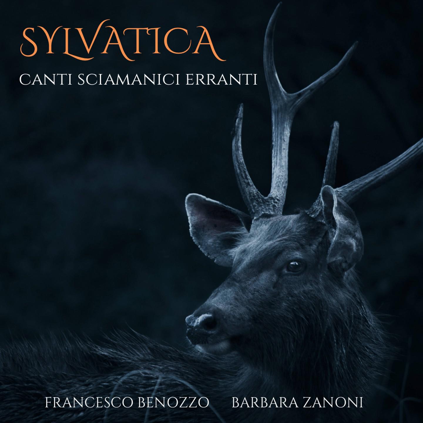 Постер альбома SYLVATICA - Canti sciamanici erranti