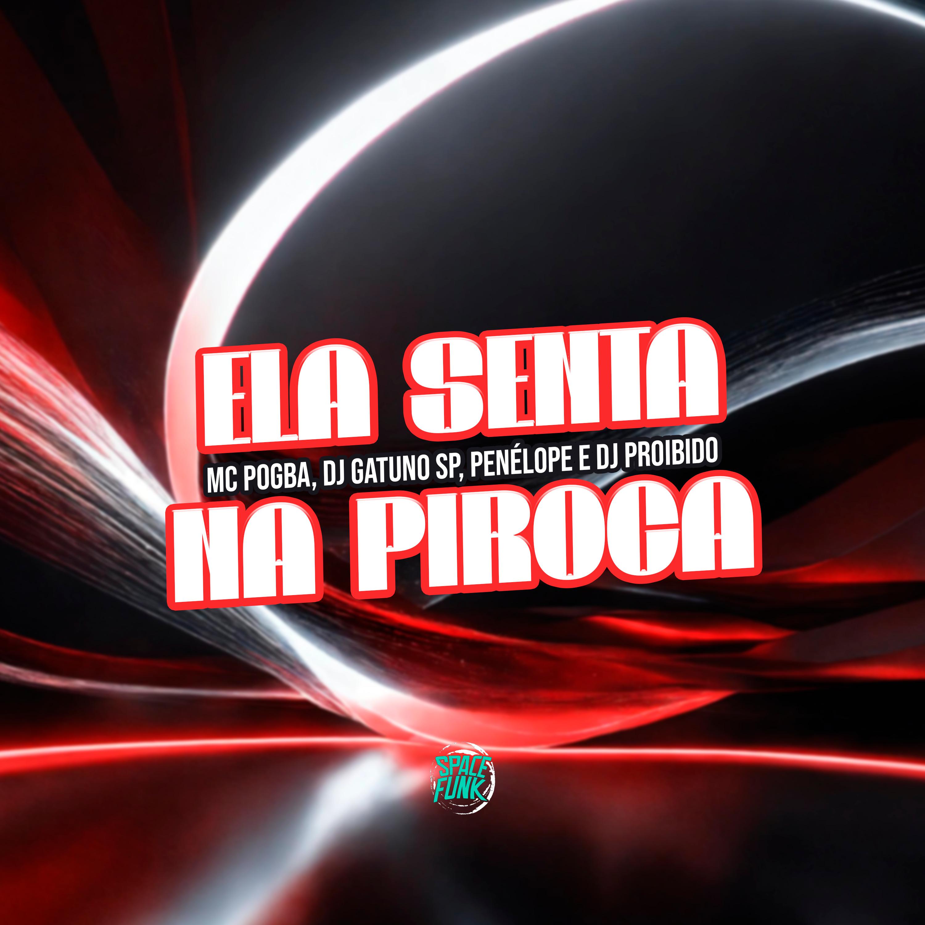Постер альбома Ela Senta na Piroca
