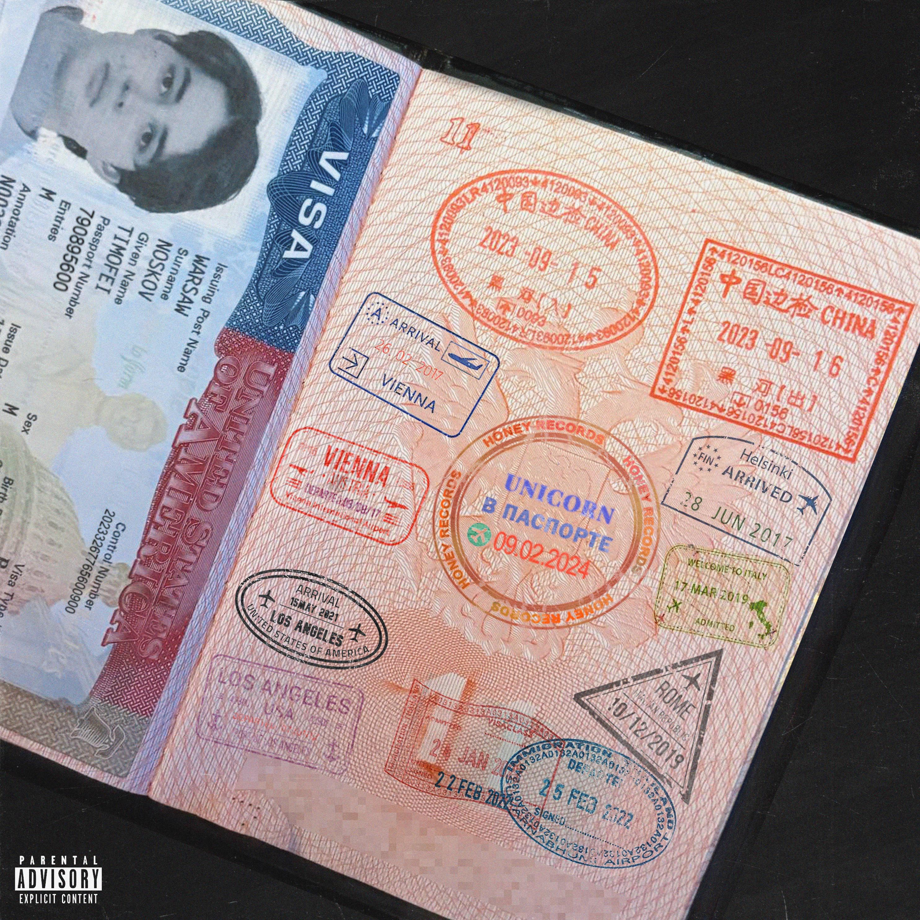 Постер альбома В паспорте