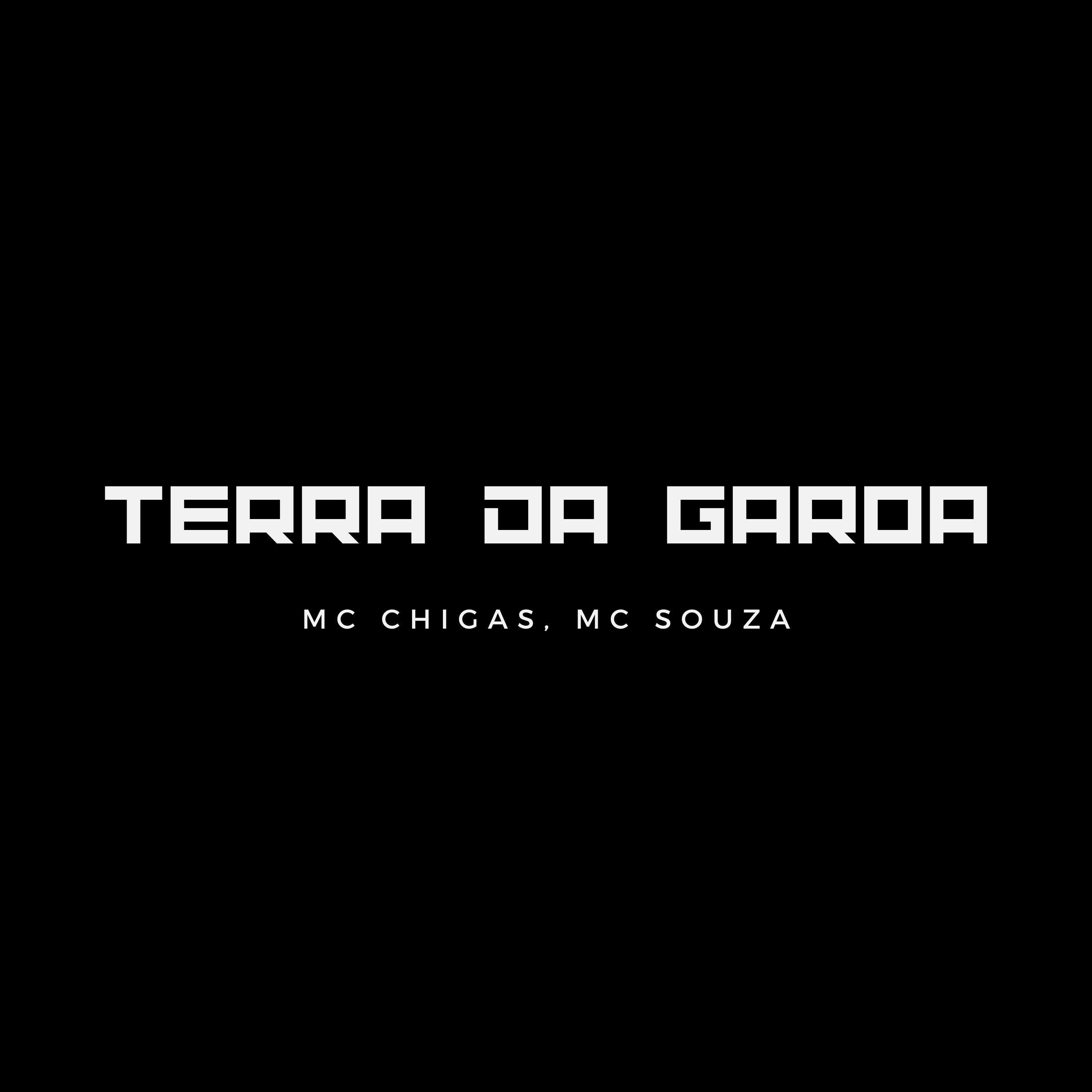 Постер альбома Terra da Garoa