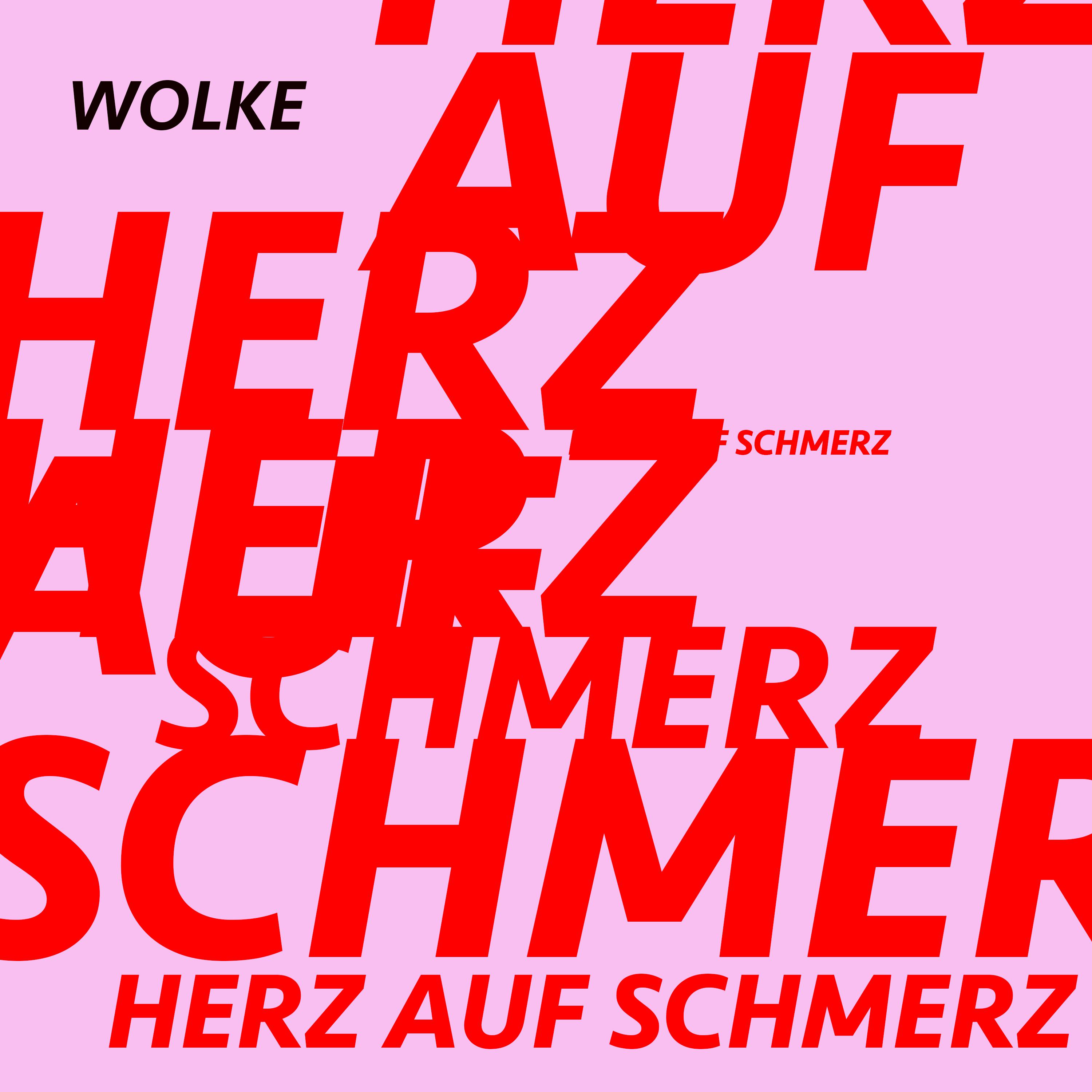 Постер альбома Herz auf Schmerz