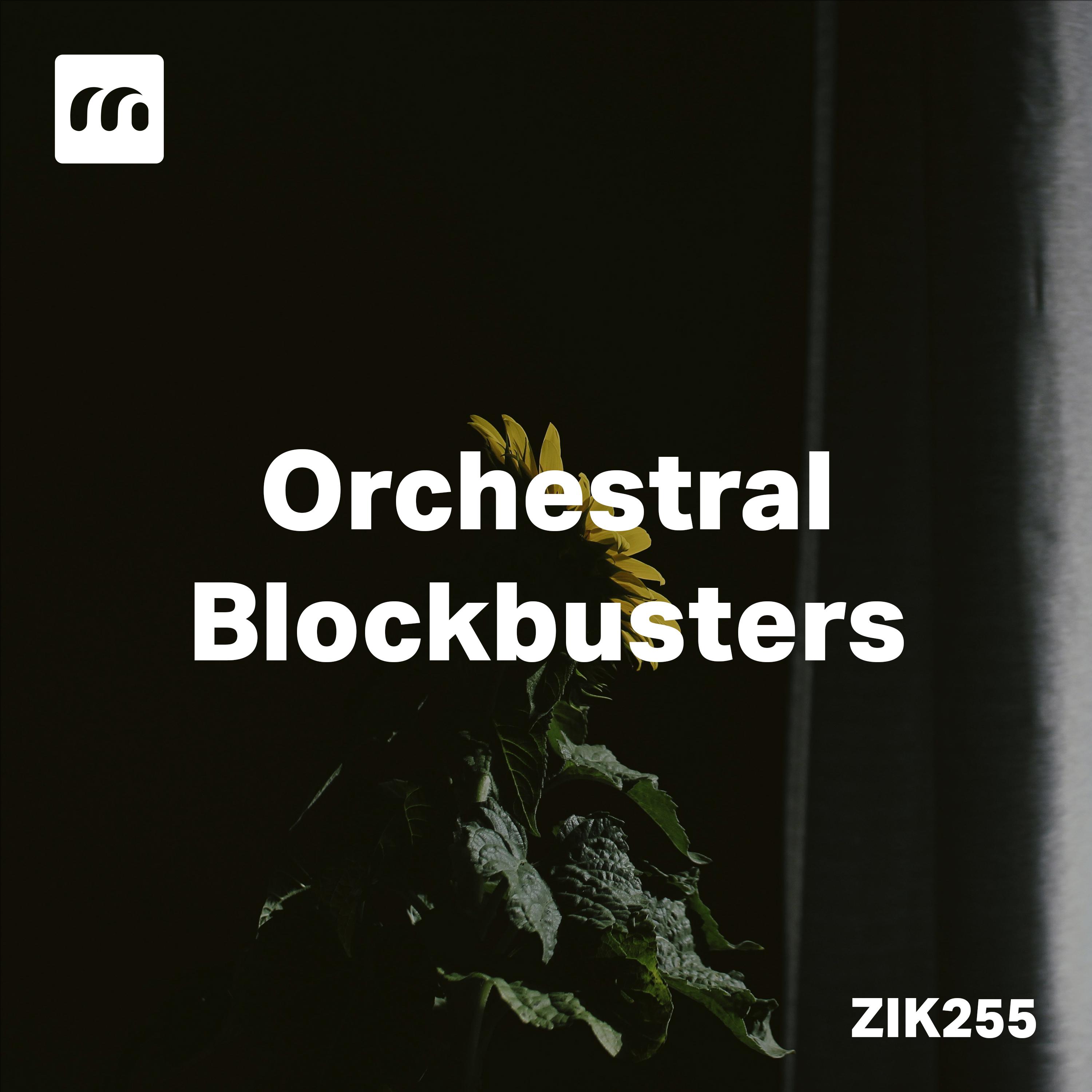 Постер альбома Orchestral Blockbusters