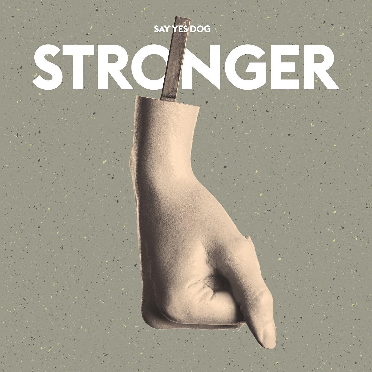 Say Yes Dog - Stronger (Album Version)