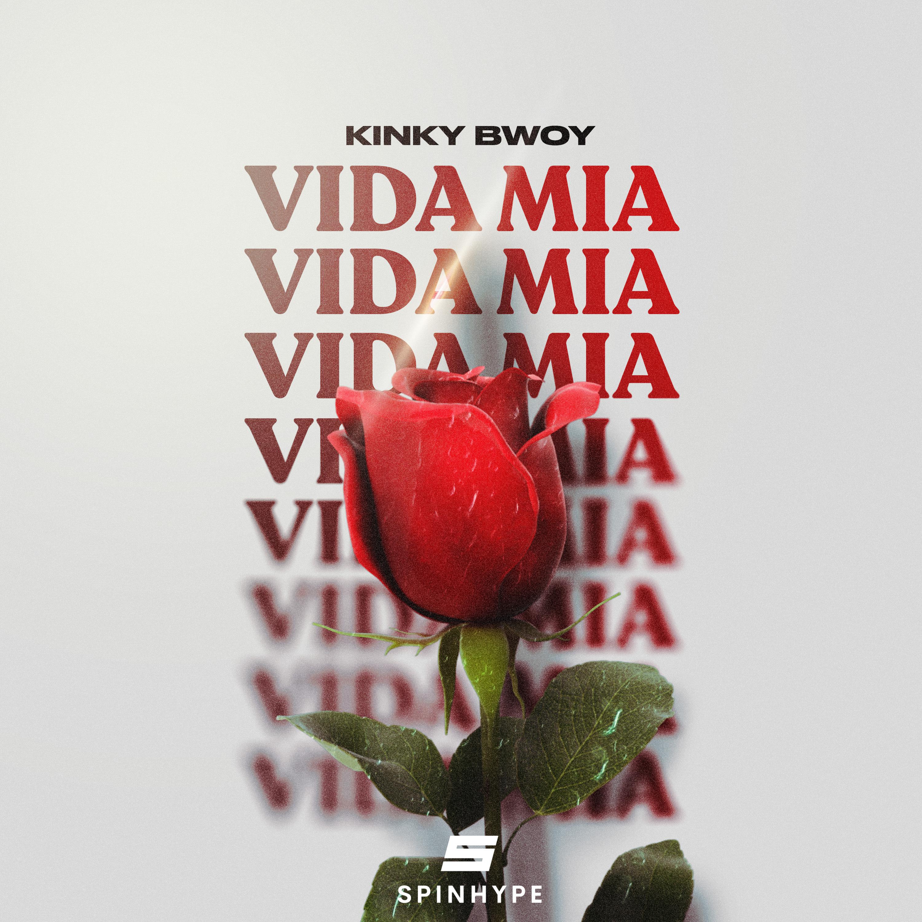 Постер альбома Vida Mia