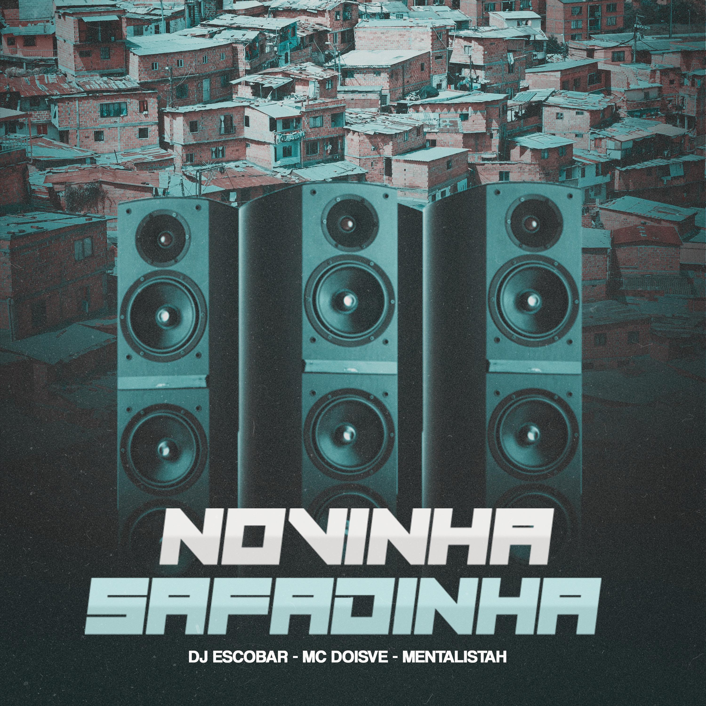 Постер альбома Novinha Safadinha